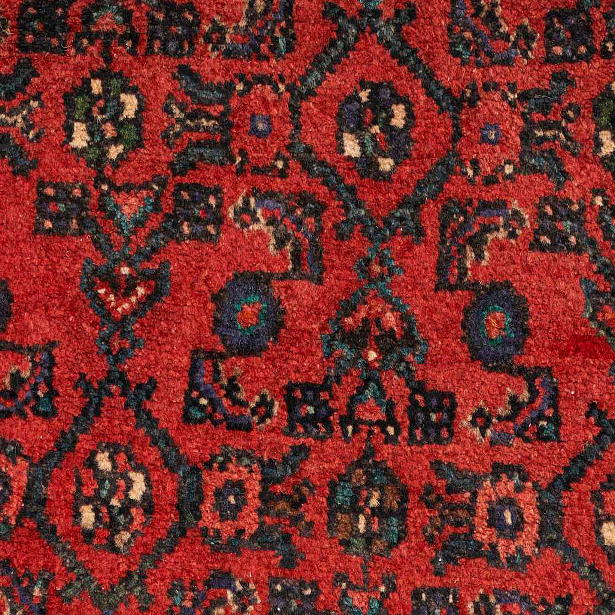 Amol Rug