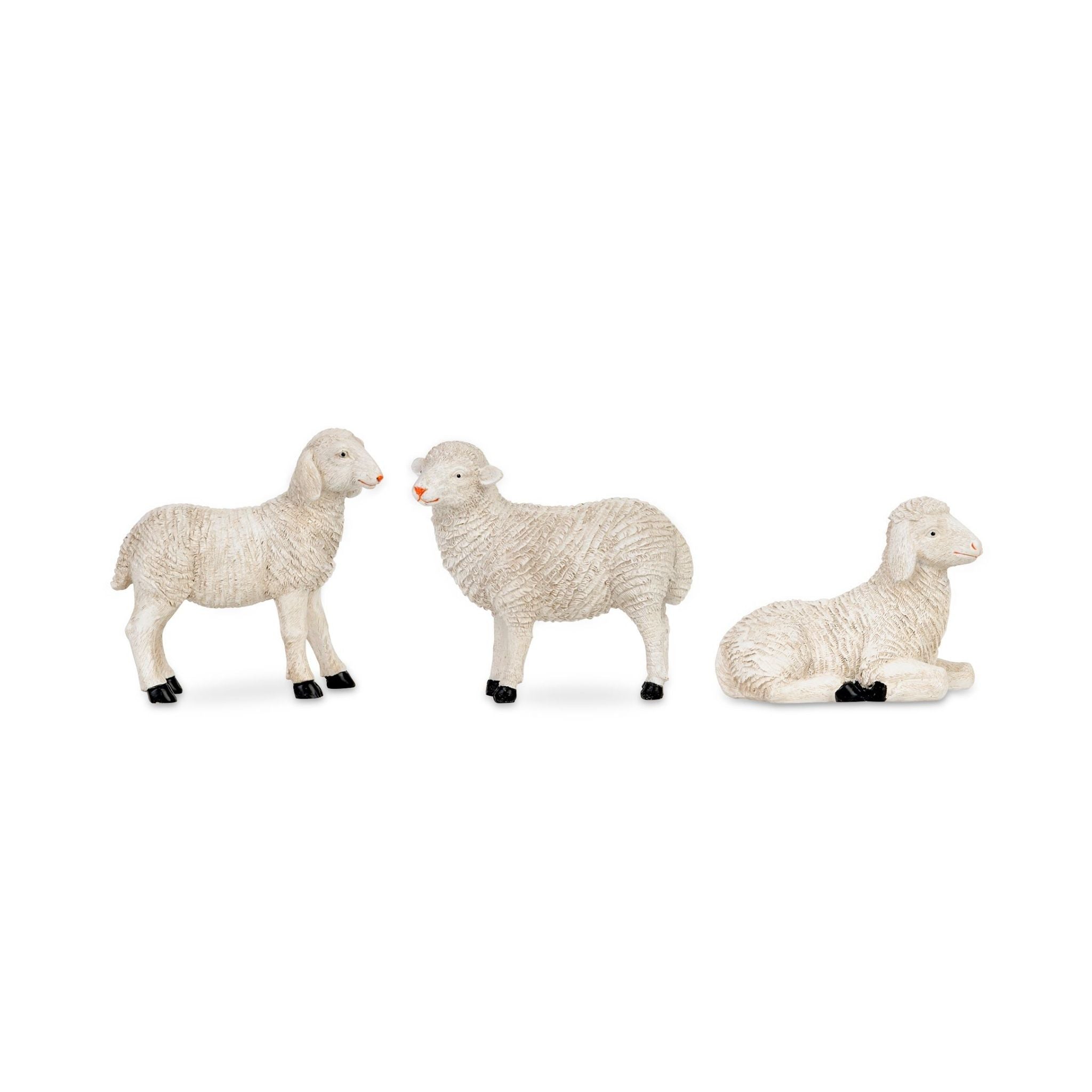 Wooly Lamb Set