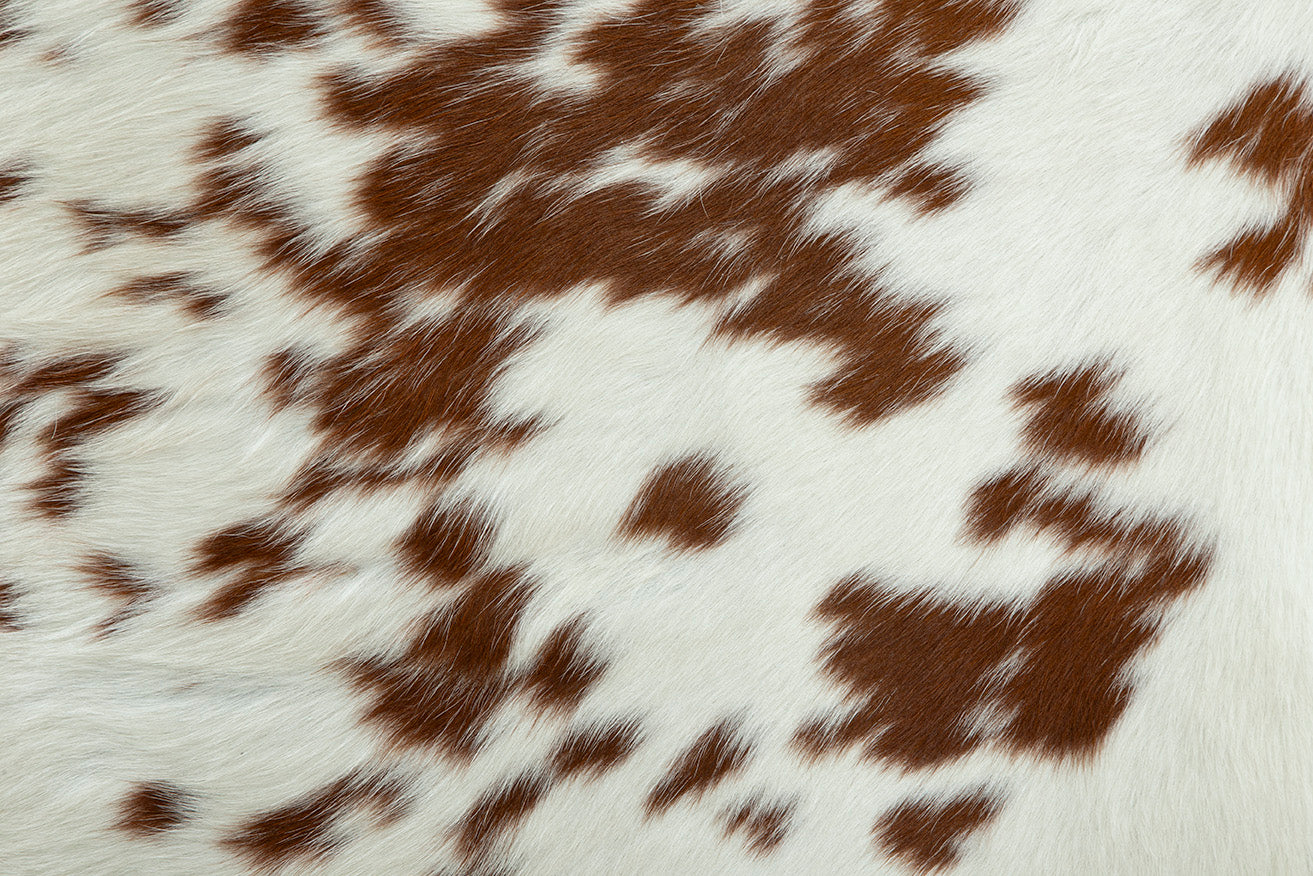 Amarillo Leather Hide Armchair