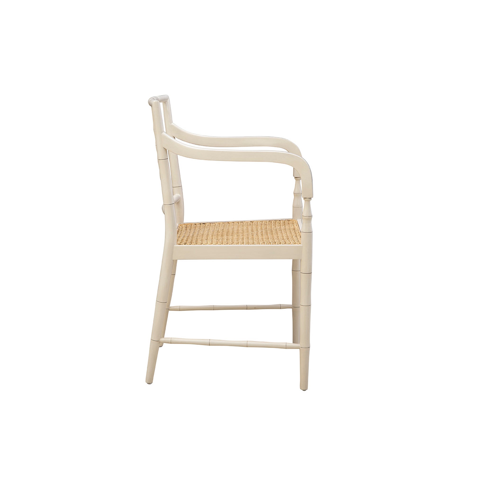 Triona Rattan Arm Chair