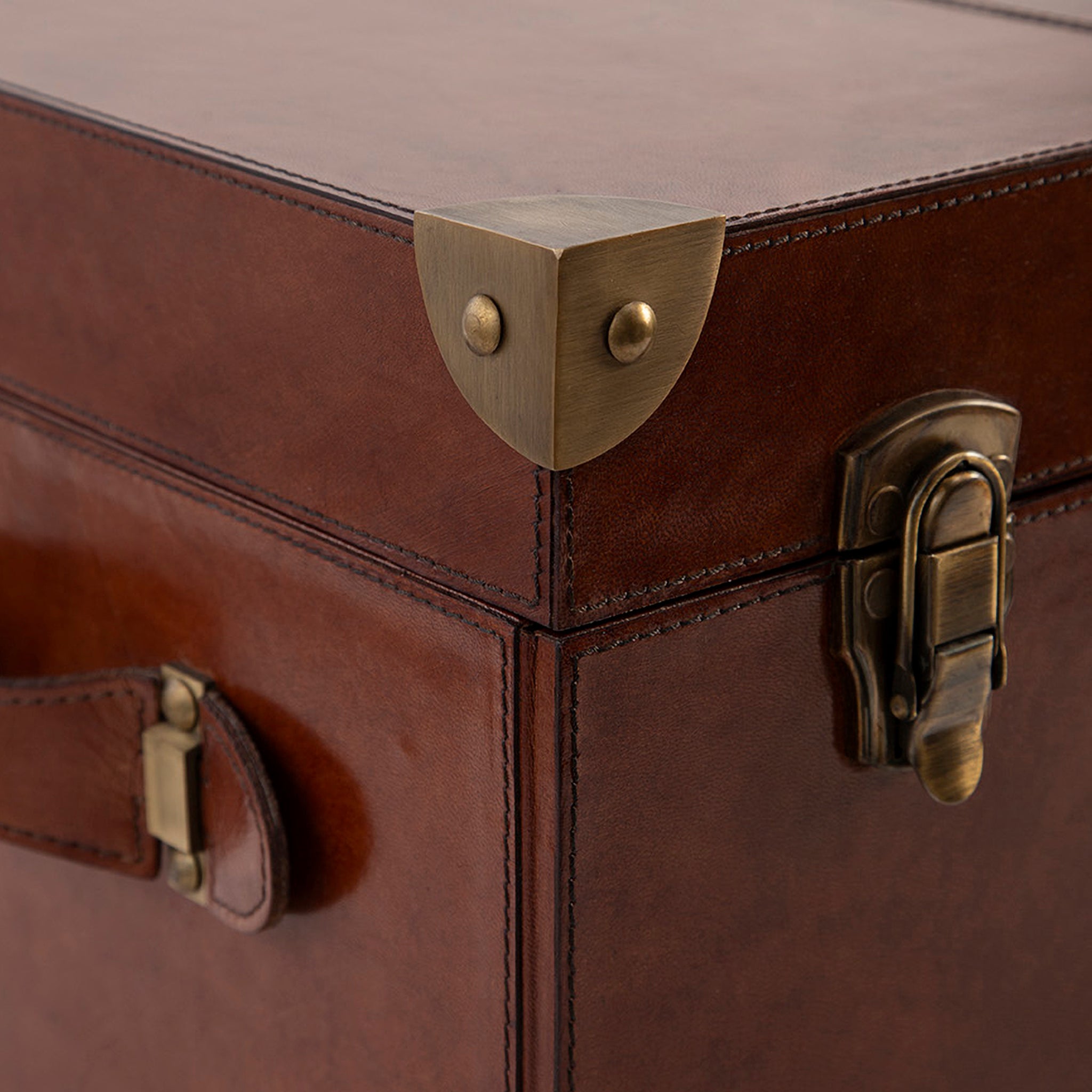 Marcellus Leather Storage Trunk