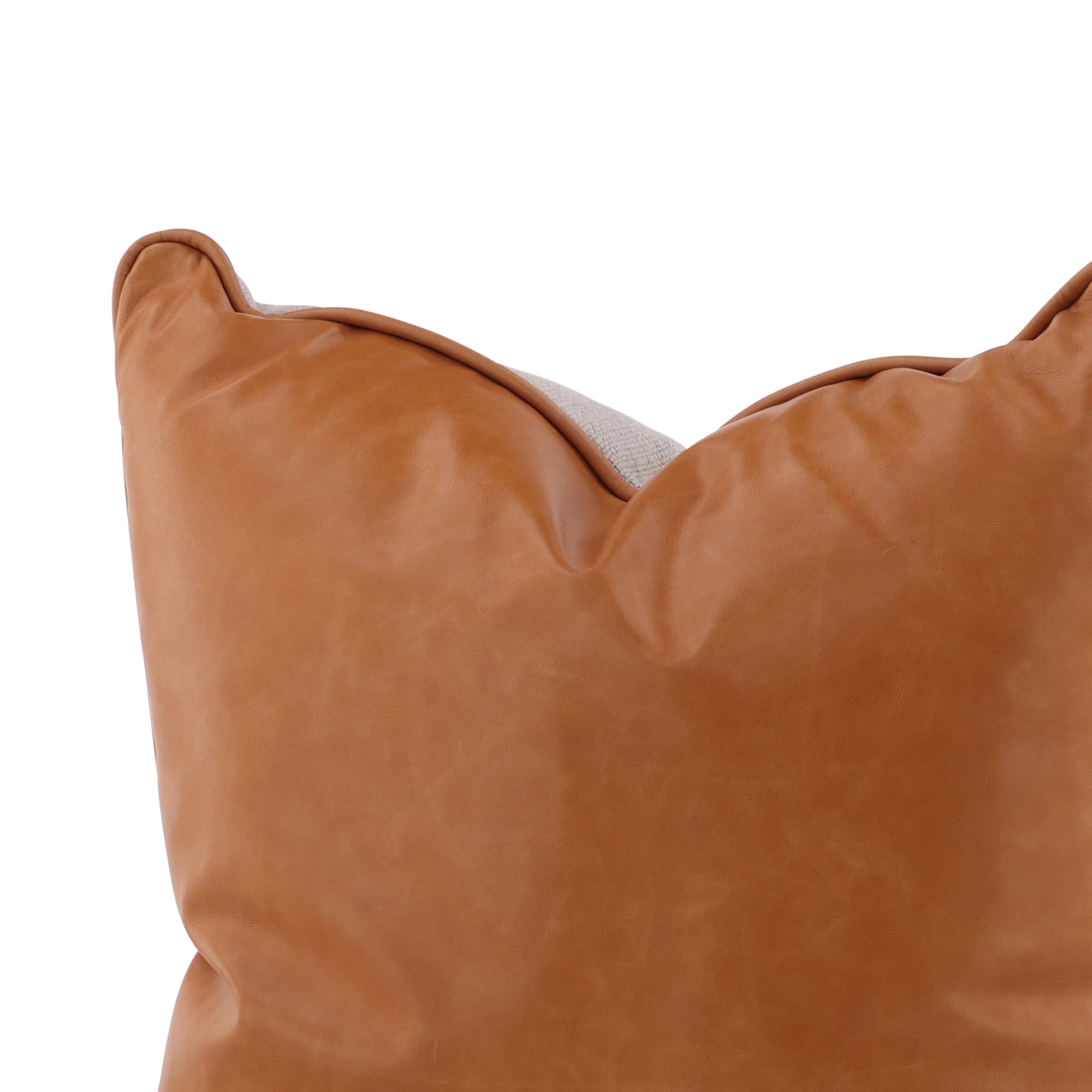 Aveline Leather Accent Pillow