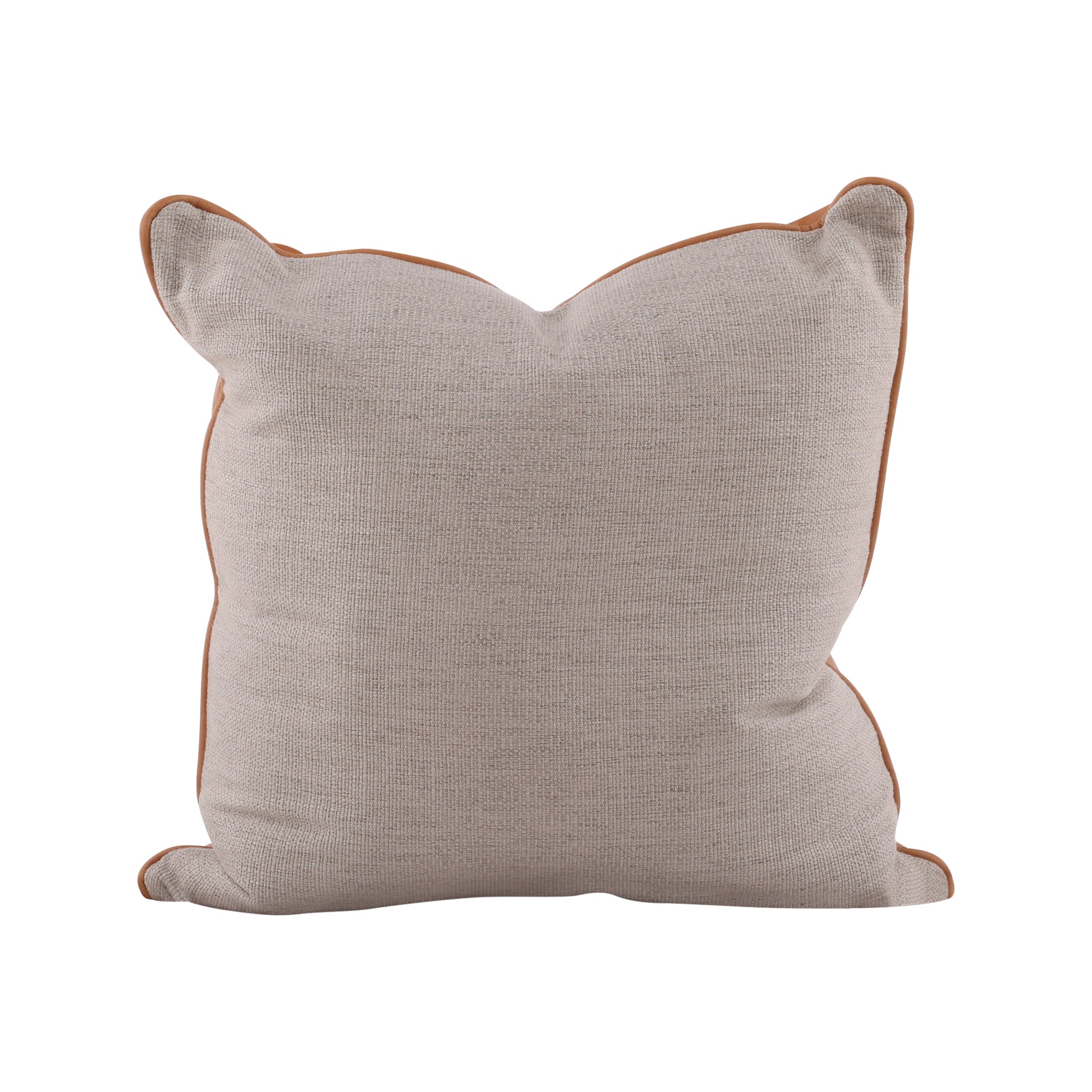 Aveline Leather Accent Pillow