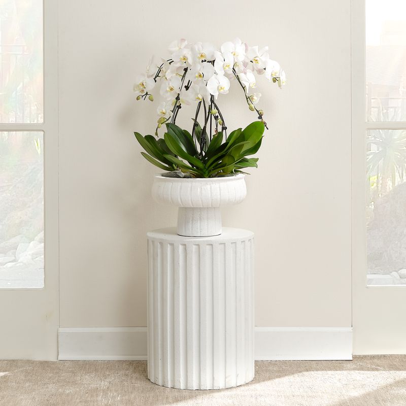 Sorin Fluted Cement Table - Wisteria