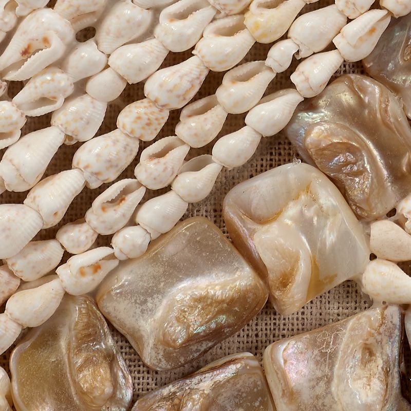 Asterique Shell Panel - Wisteria
