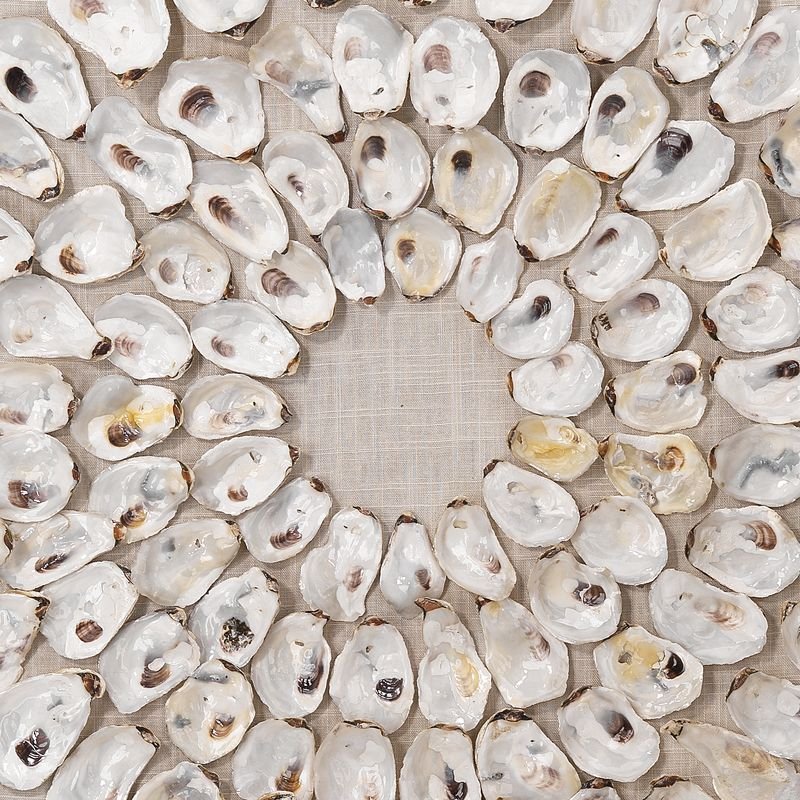 Ocevair Abalone Relief Artwork - Wisteria