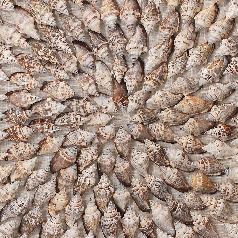 Tiderune Shell Relief Artwork - Wisteria