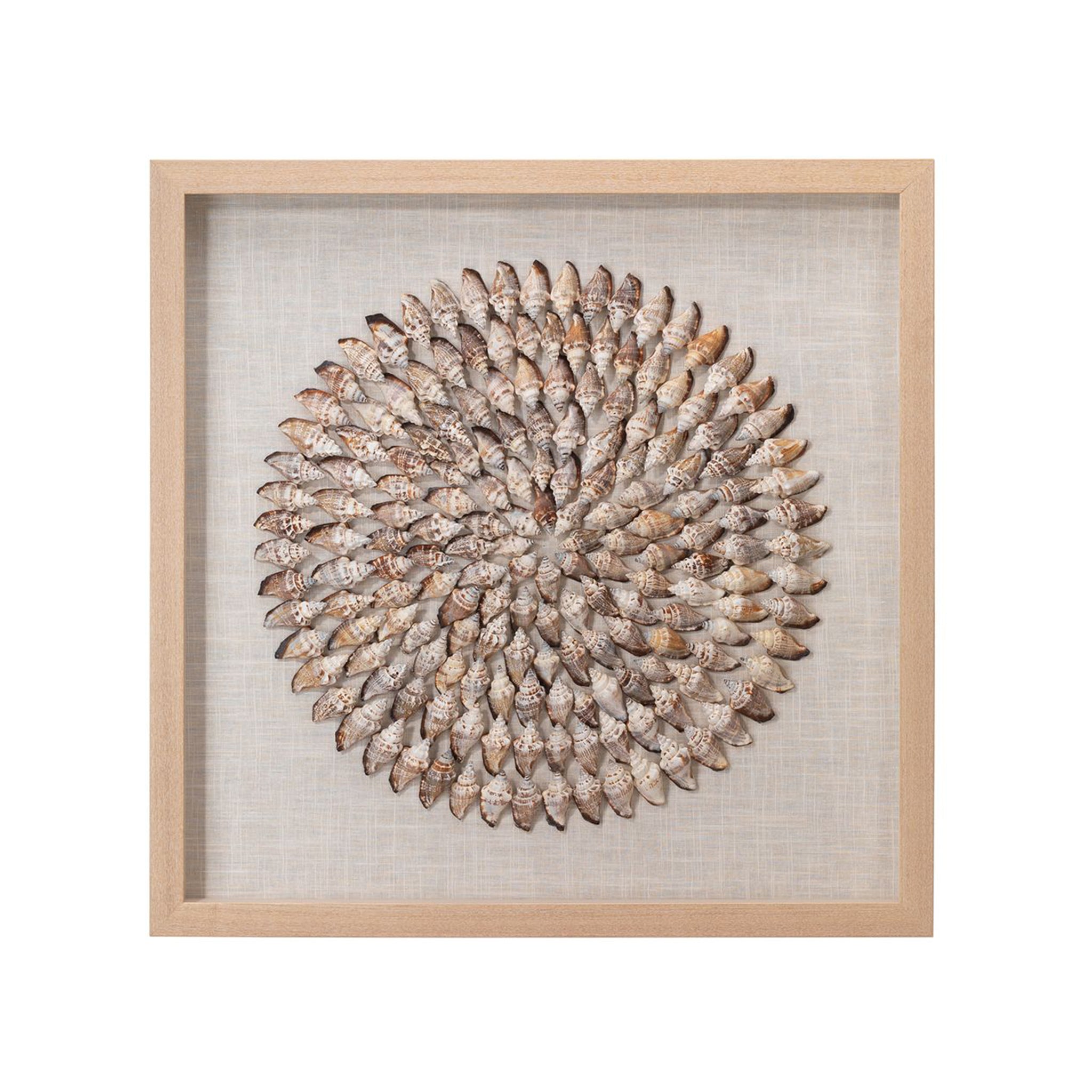 Tiderune Shell Relief Artwork - Wisteria