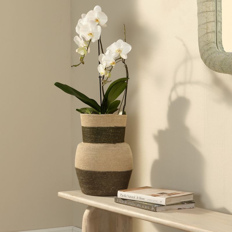 Vireza Seagrass Basket - Wisteria