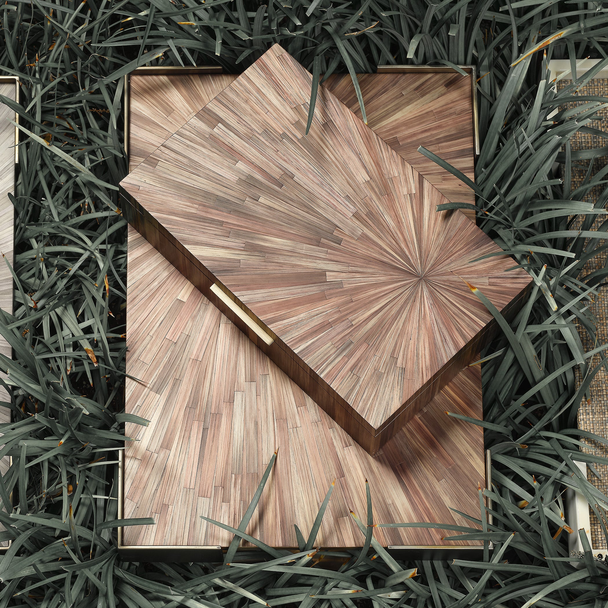 Parcelle Tray