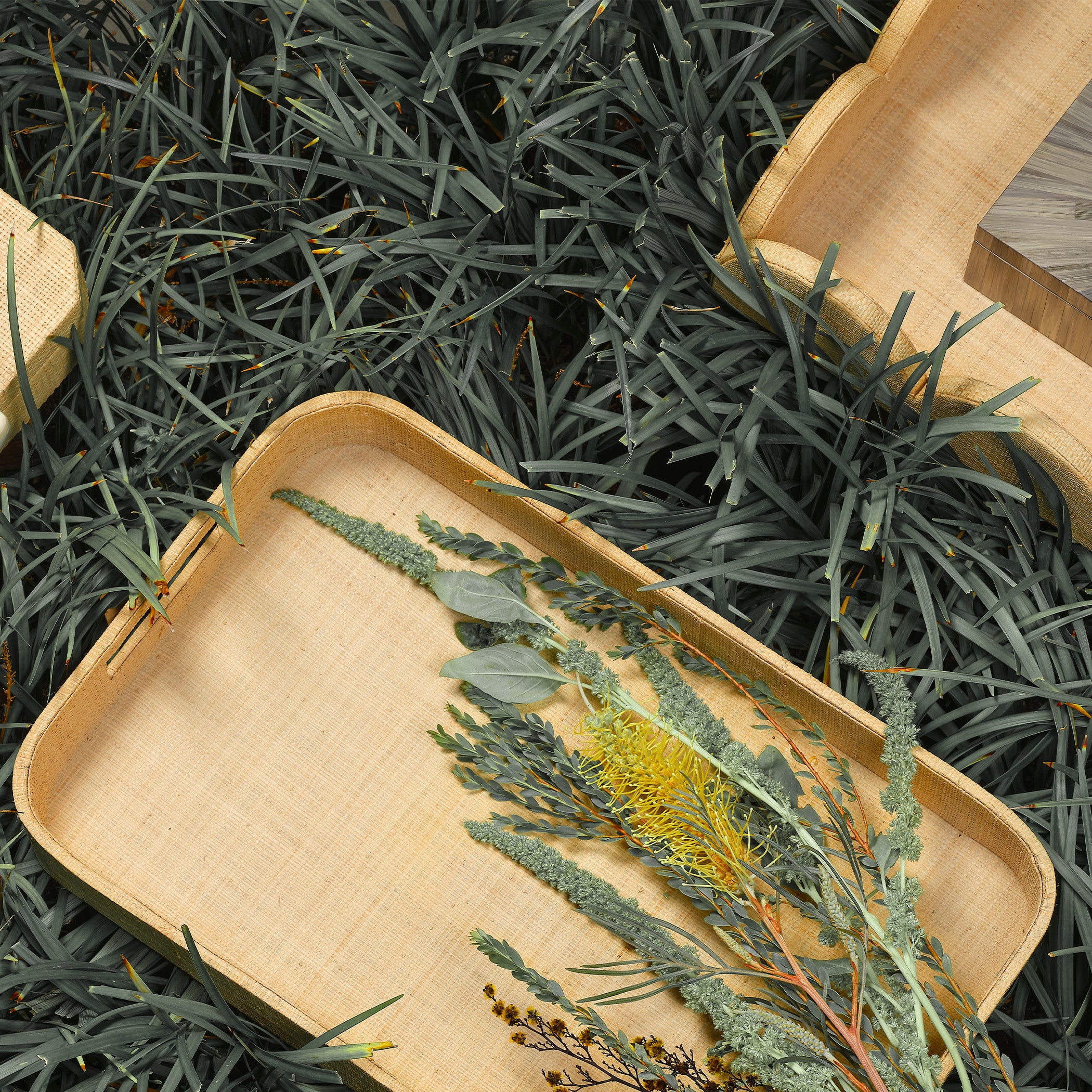 Safini Footed Tray