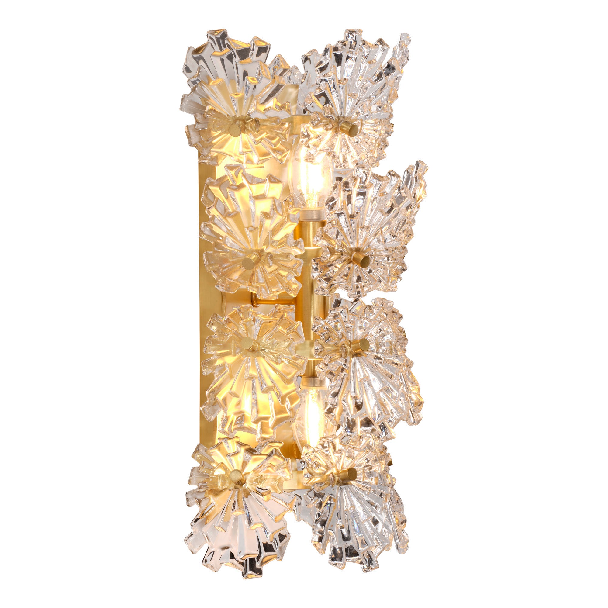Elarion 2-Light Glass Sconce