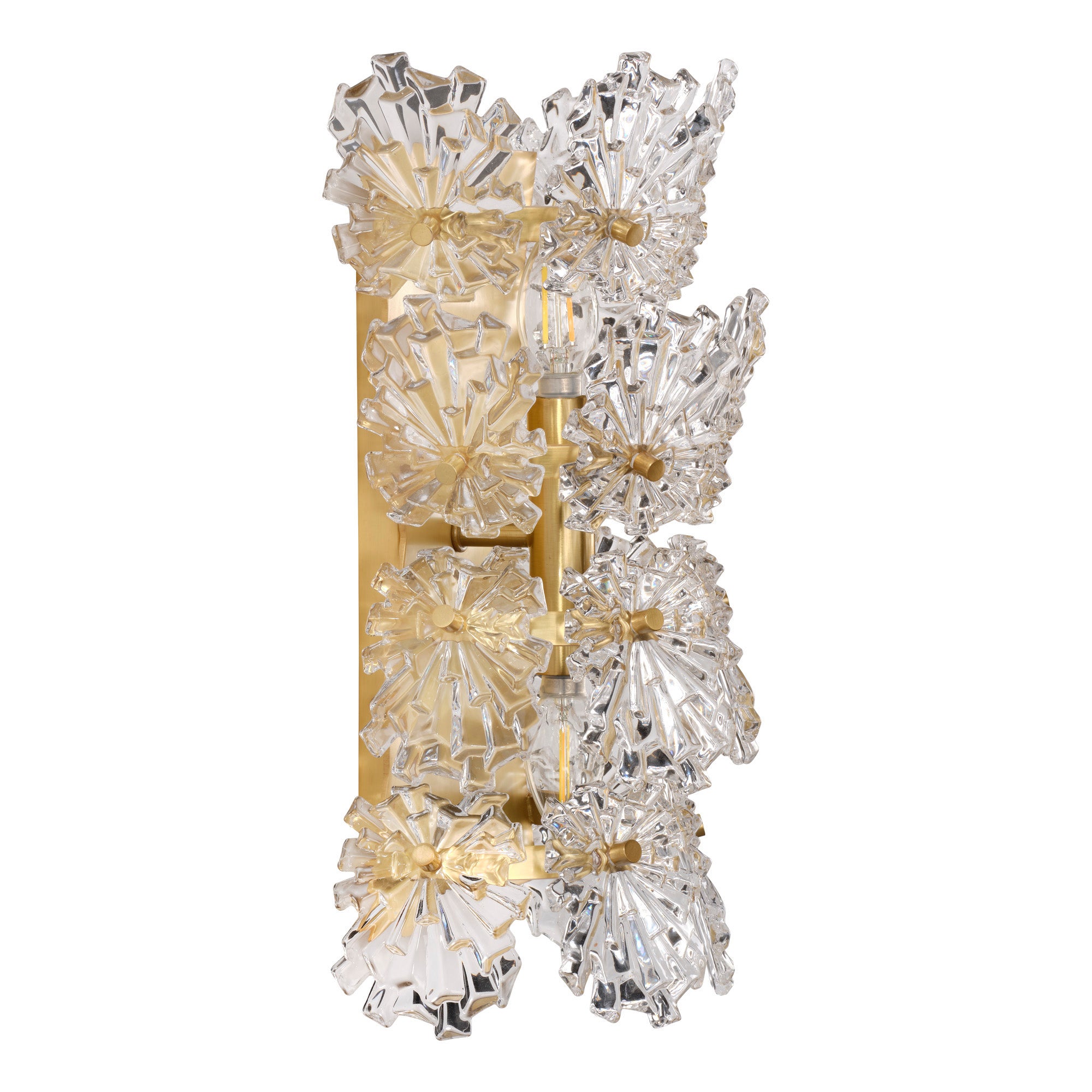 Elarion 2-Light Glass Sconce