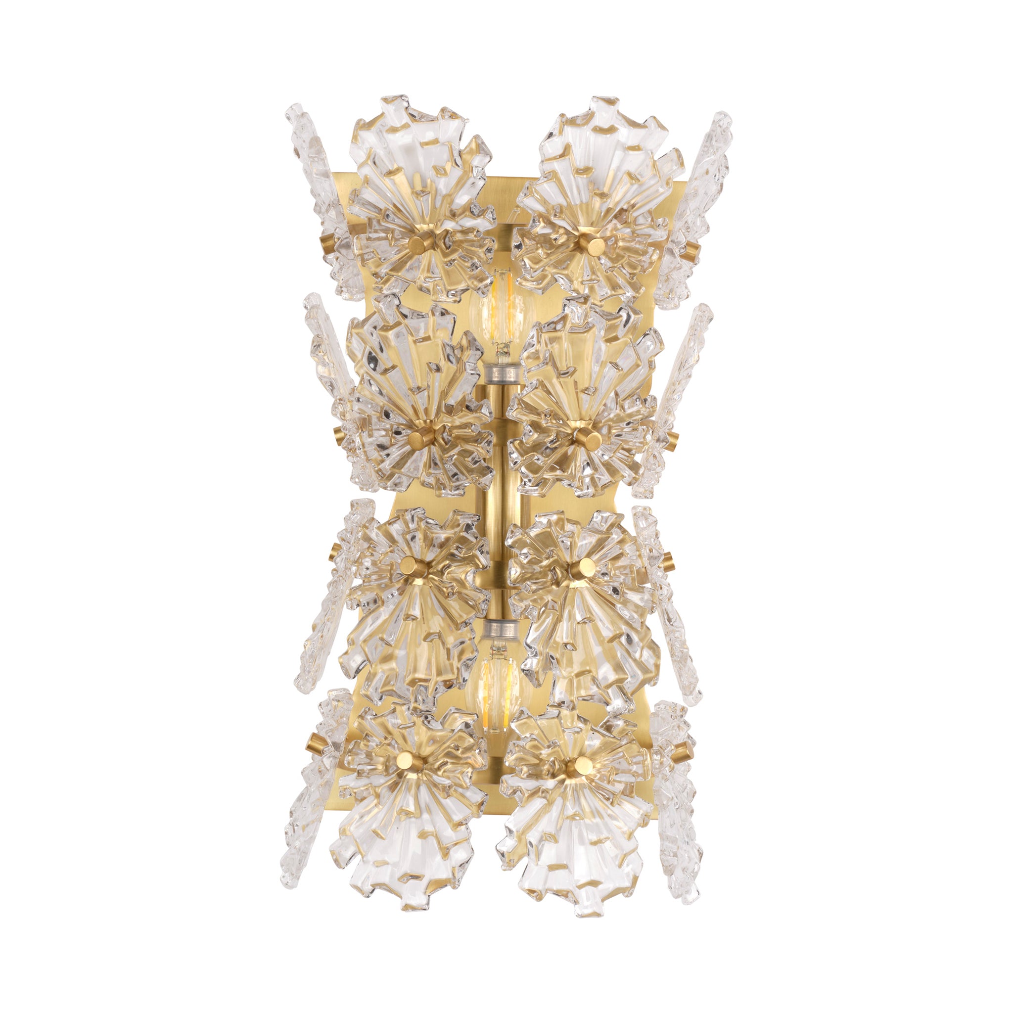 Elarion 2-Light Glass Sconce