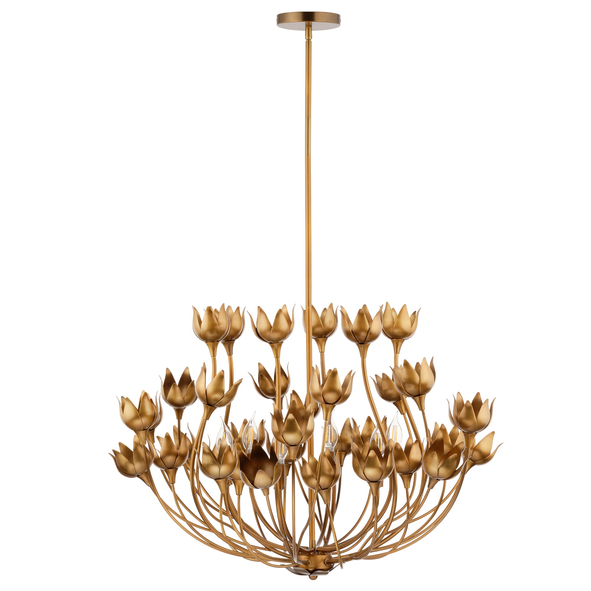 Floravelle Floral 6 Light Chandelier