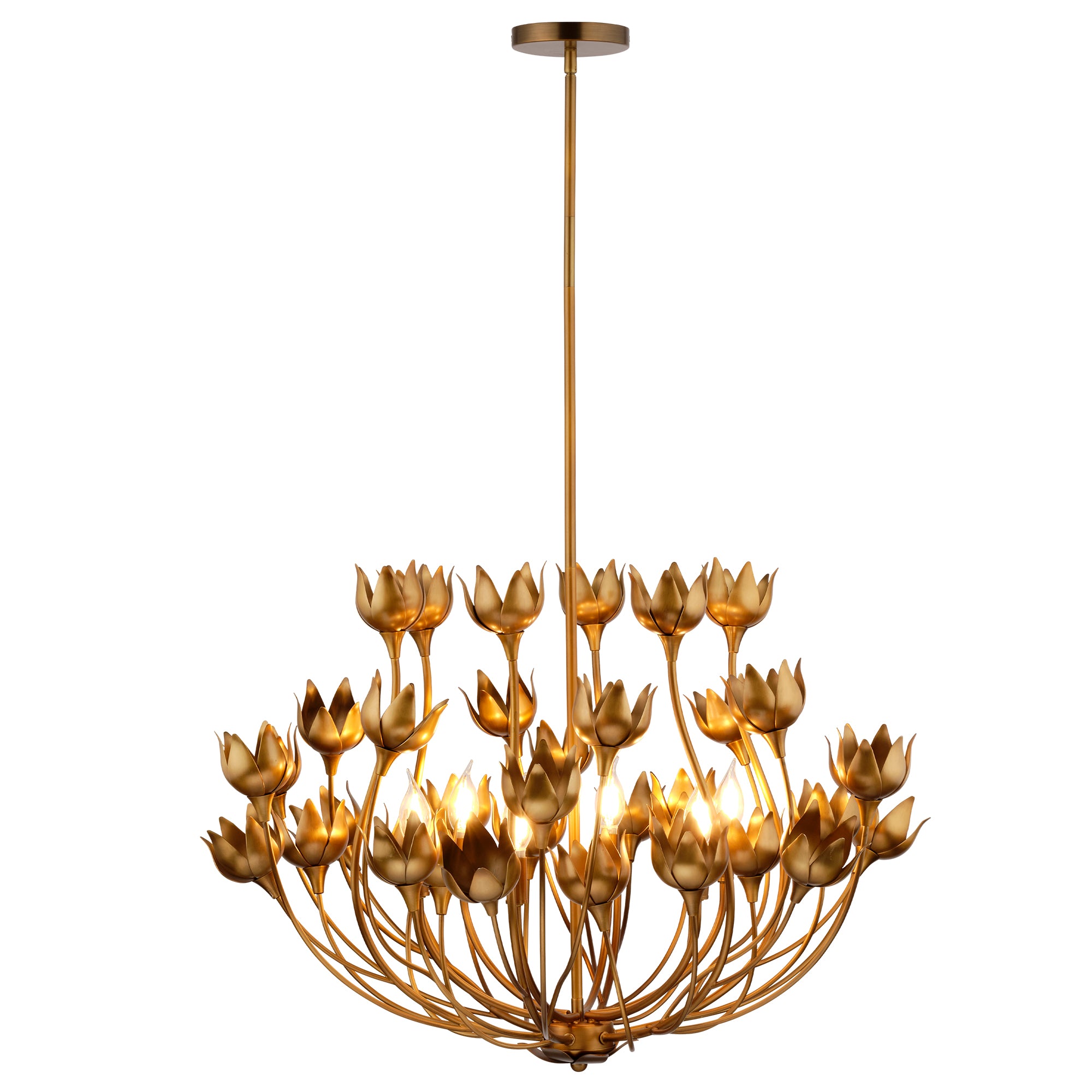Floravelle Floral 6 Light Chandelier