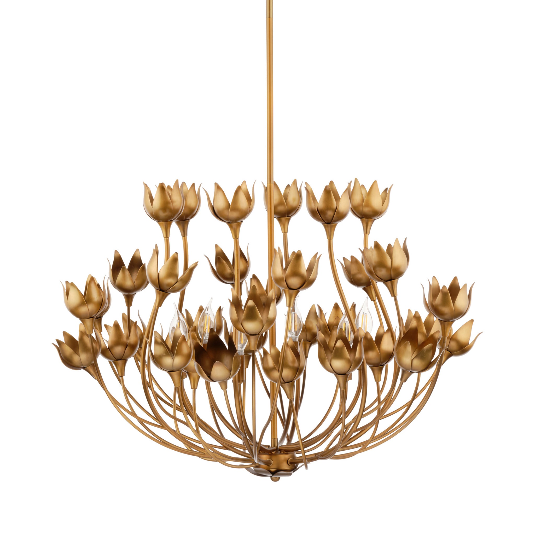 Floravelle Floral 6 Light Chandelier