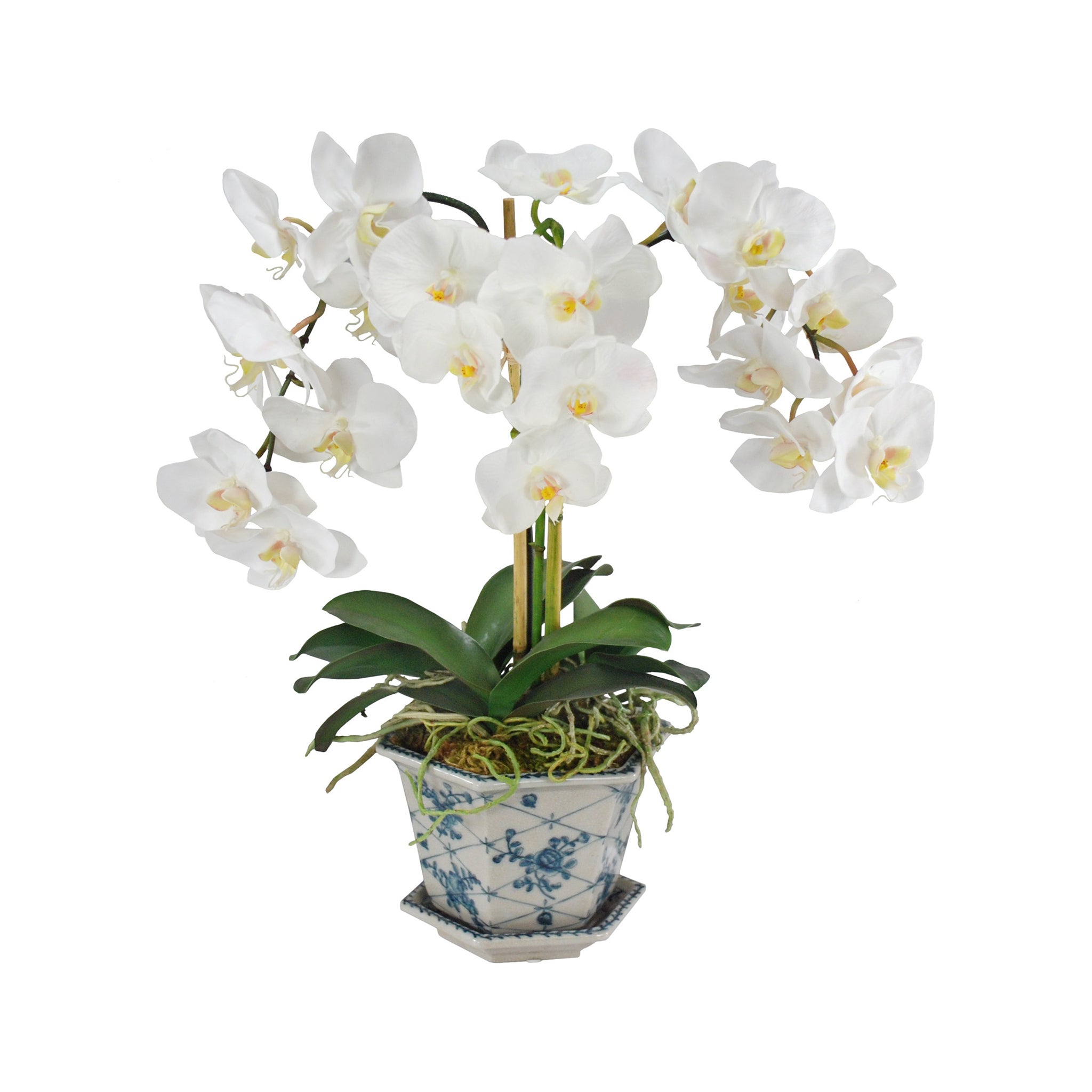 Amorosi Orchid Pot
