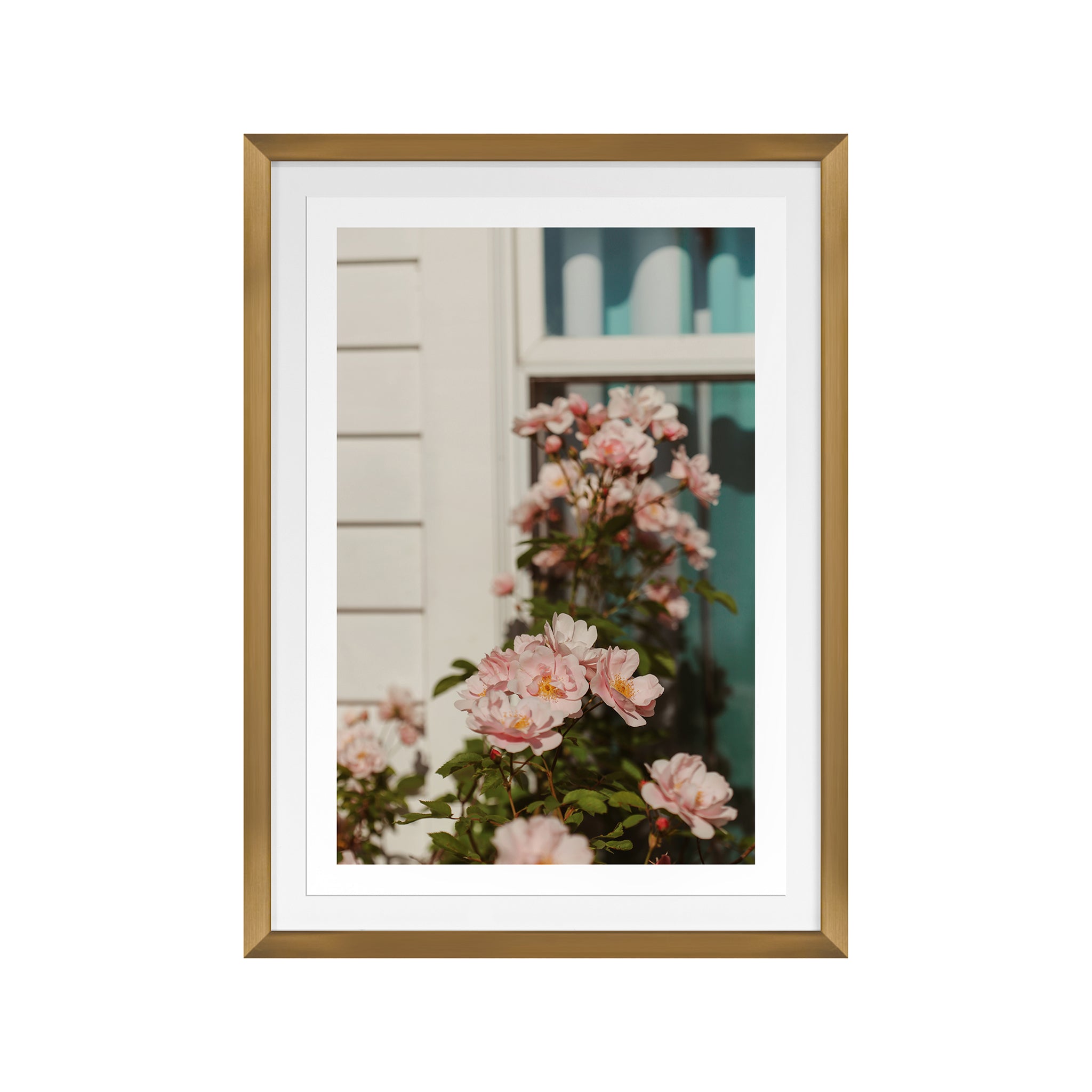Maribella Framed Rose Photograph