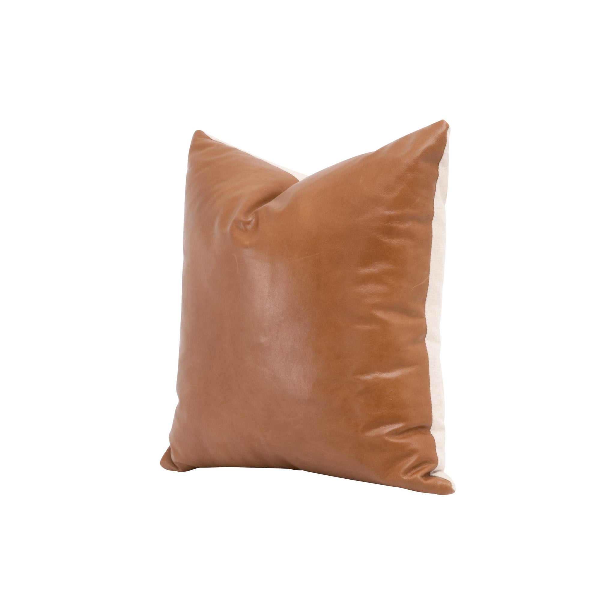 Dakota Pillow, Set of 2