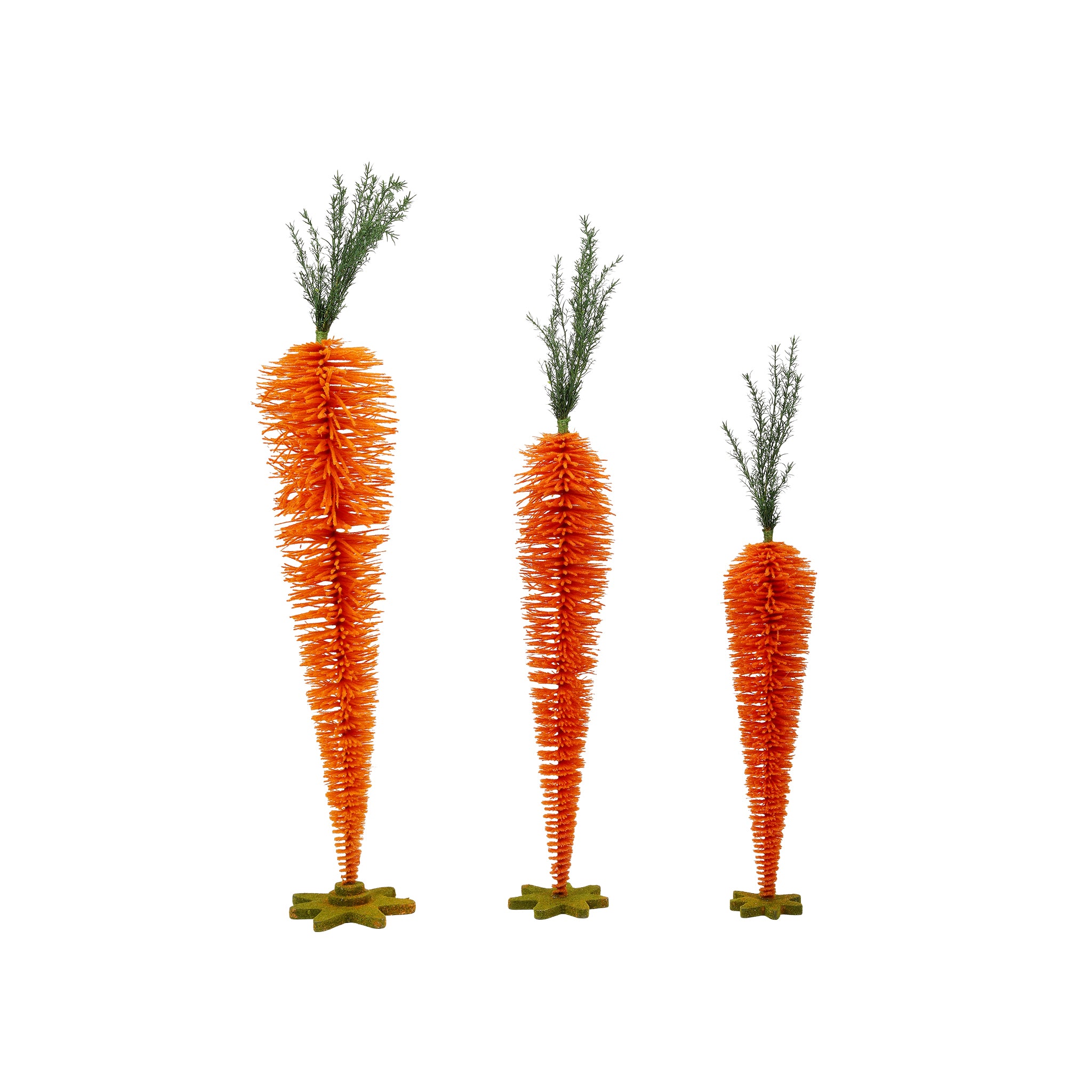 Brunella Carrot Grouping - Wisteria