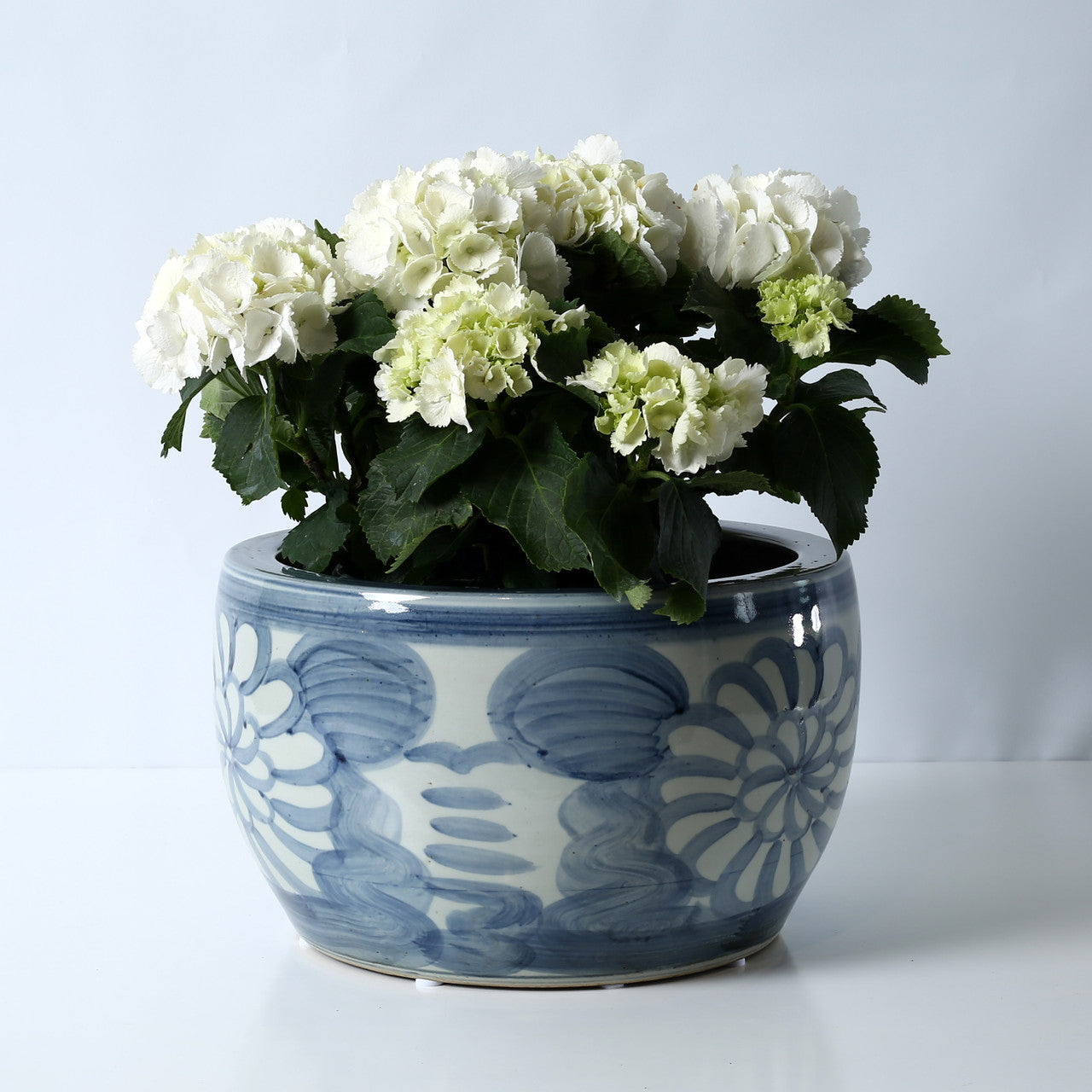Liorin Hand Painted Planter