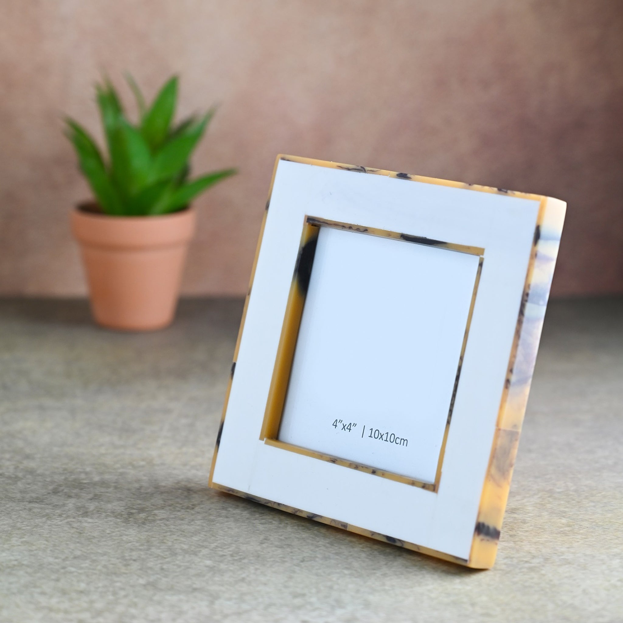 Ellery Horn Frame - Wisteria