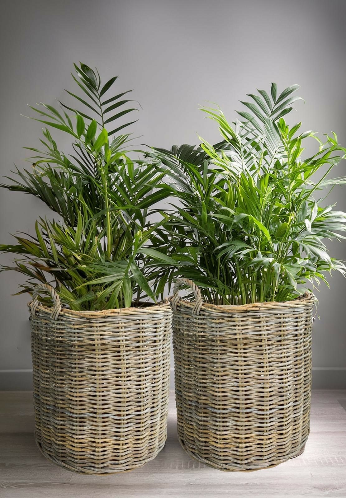 Orvella Rattan Basket Set - Wisteria