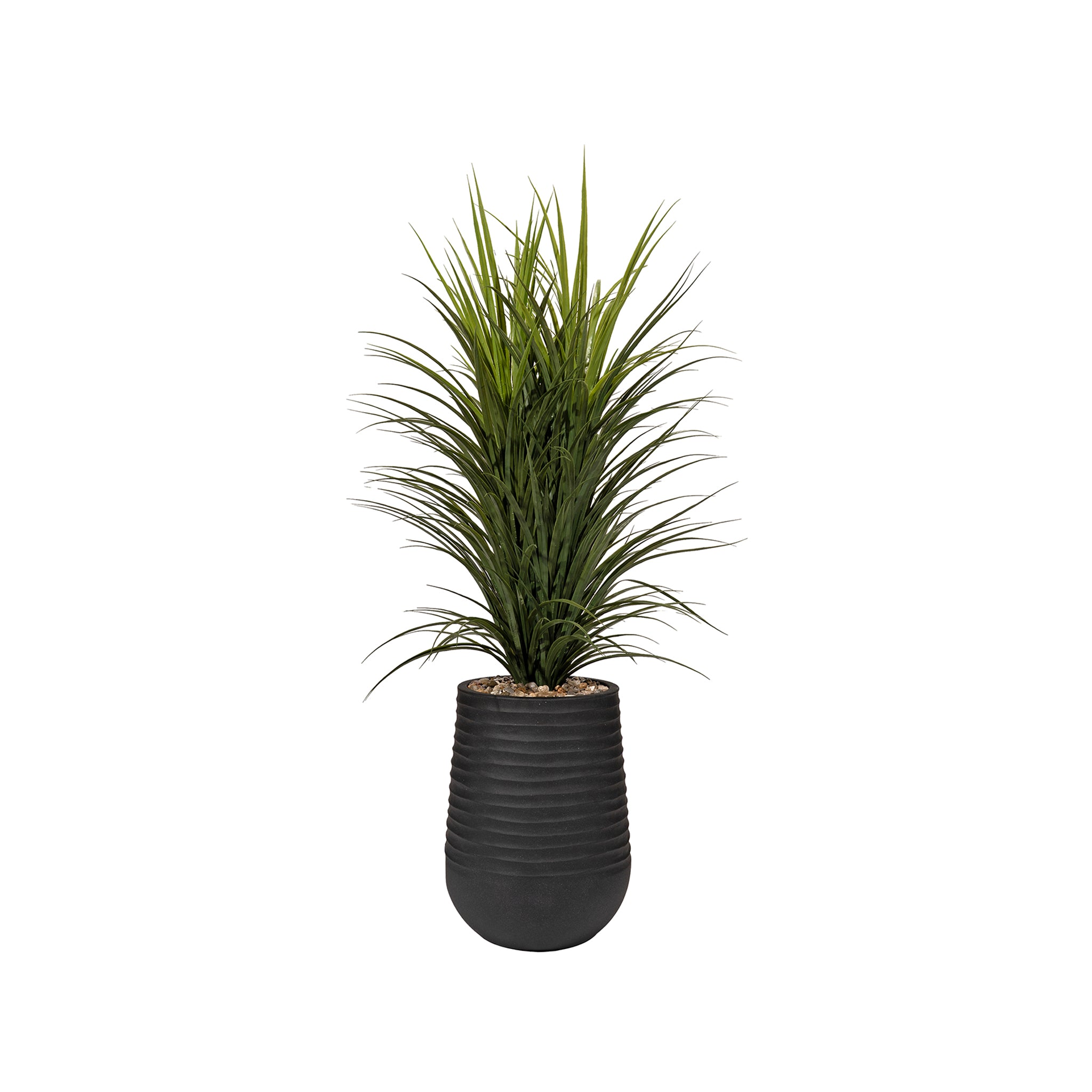 Serreno Grass Arrangement - Wisteria