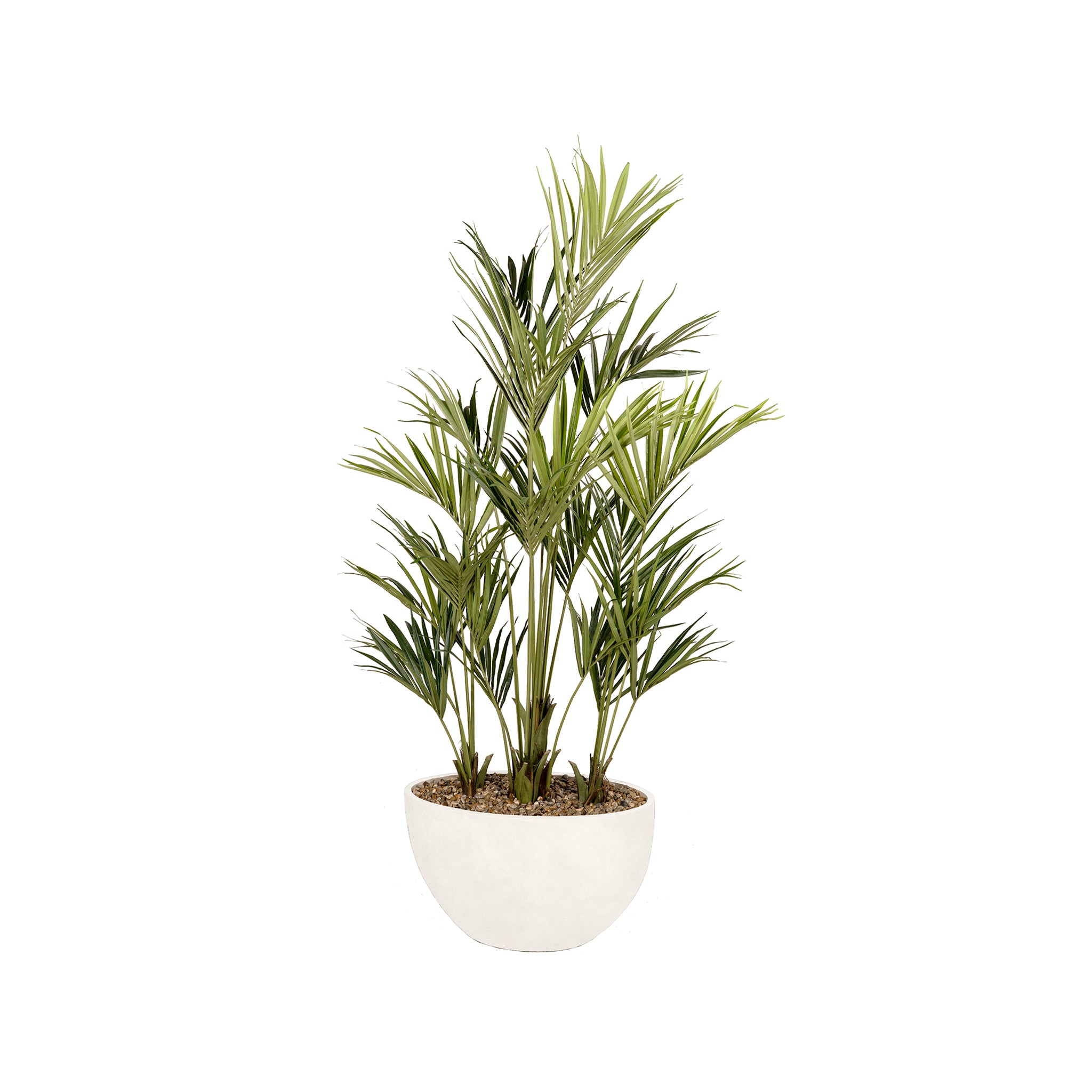 Callissto Palm Arrangement - Wisteria
