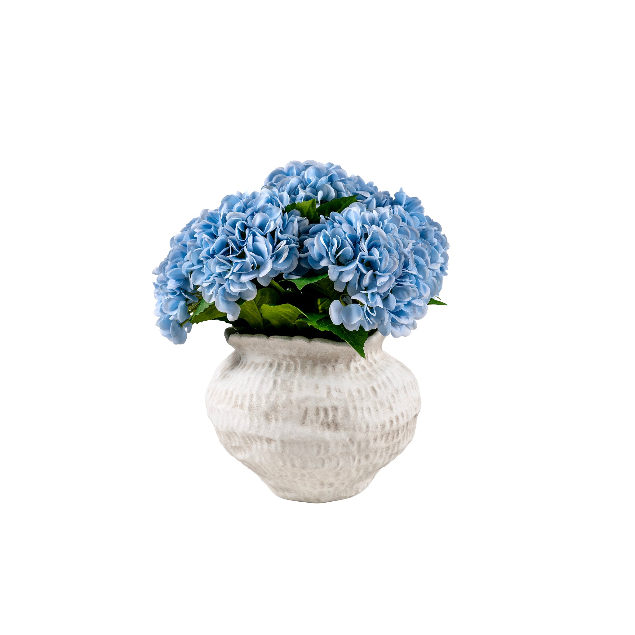 Panicle Hydrangea Arrangement - Wisteria