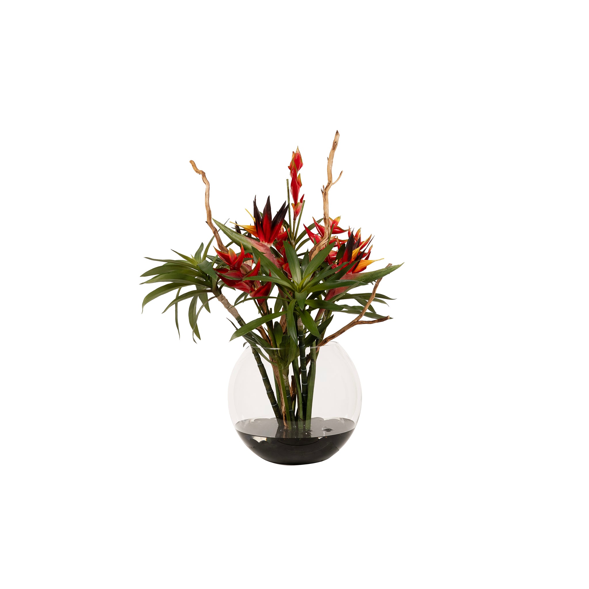 Rostrata Tropical Arrangement - Wisteria