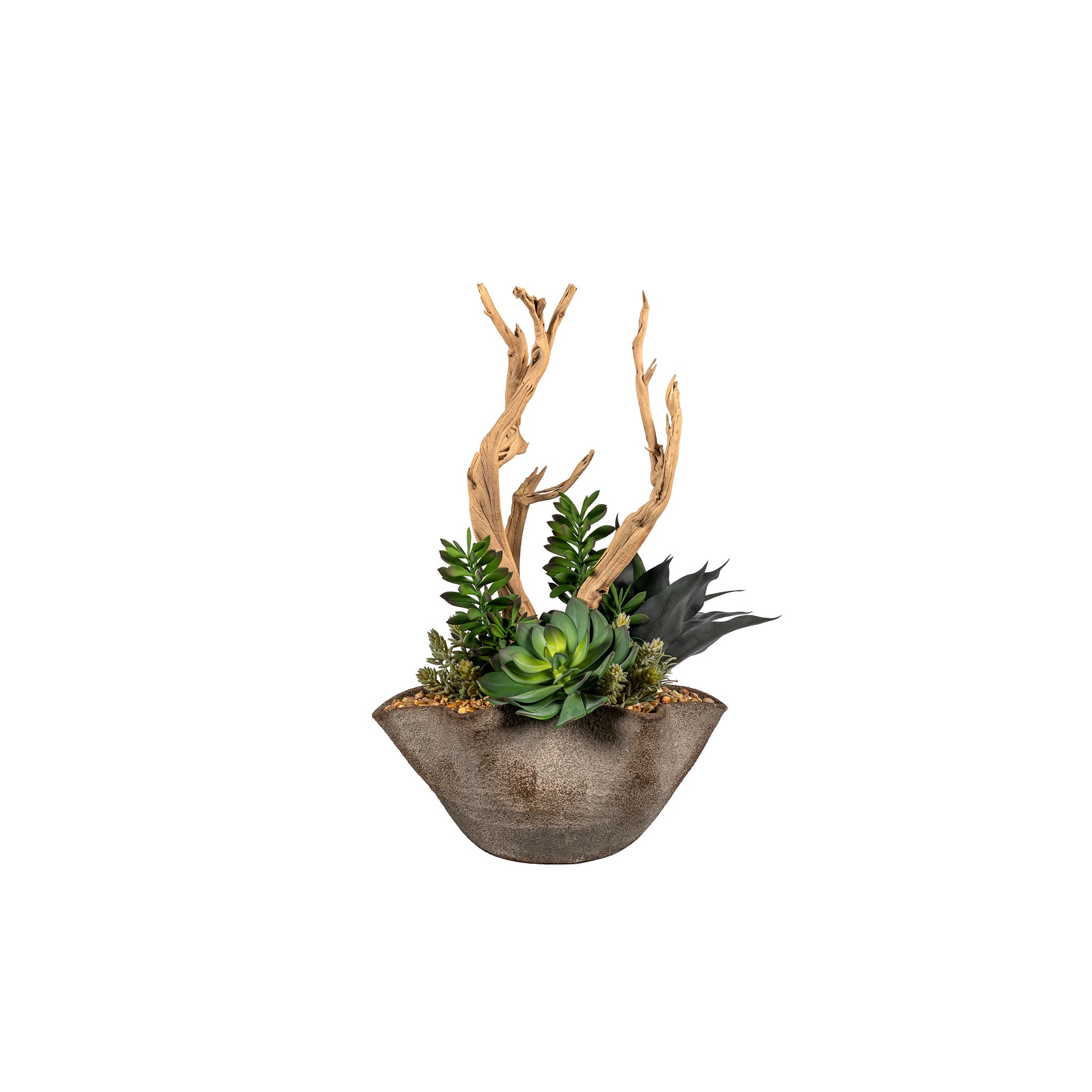 Amalfini Succulent Composition - Wisteria