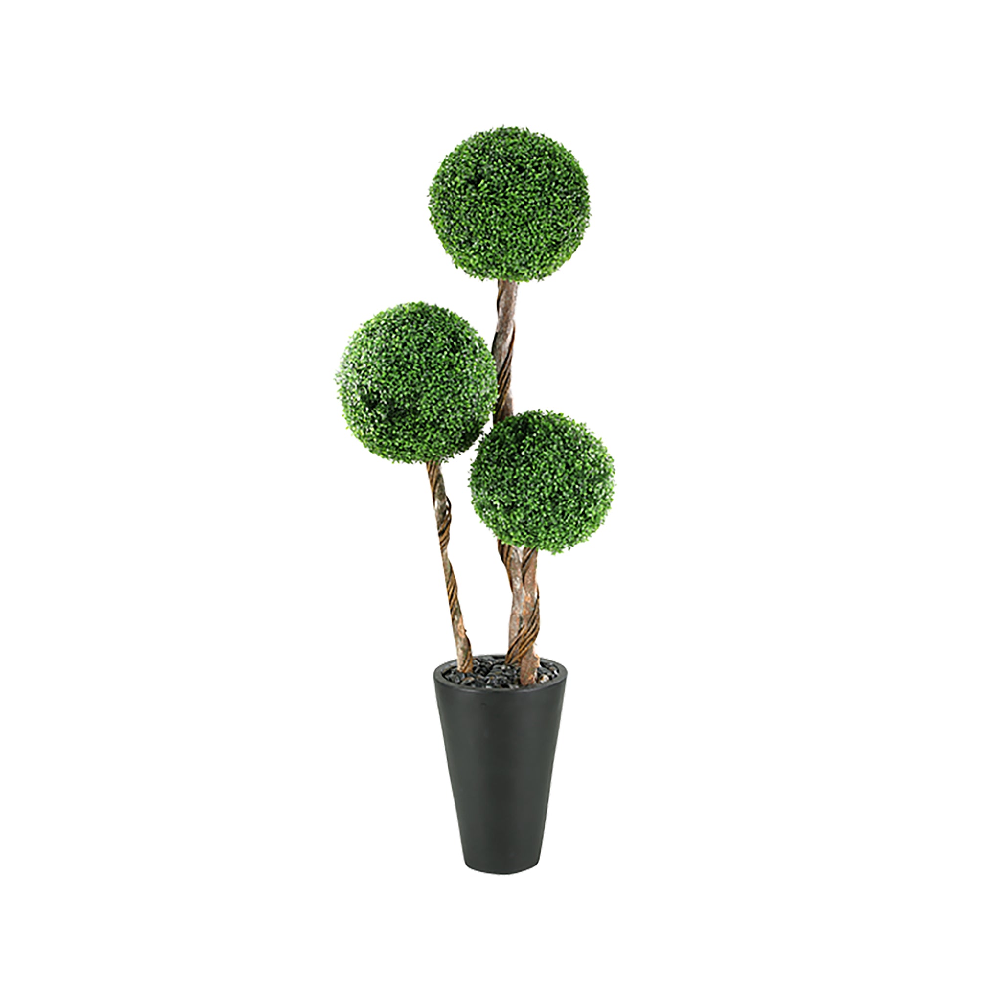 Lavello Boxwood Topiary - Wisteria
