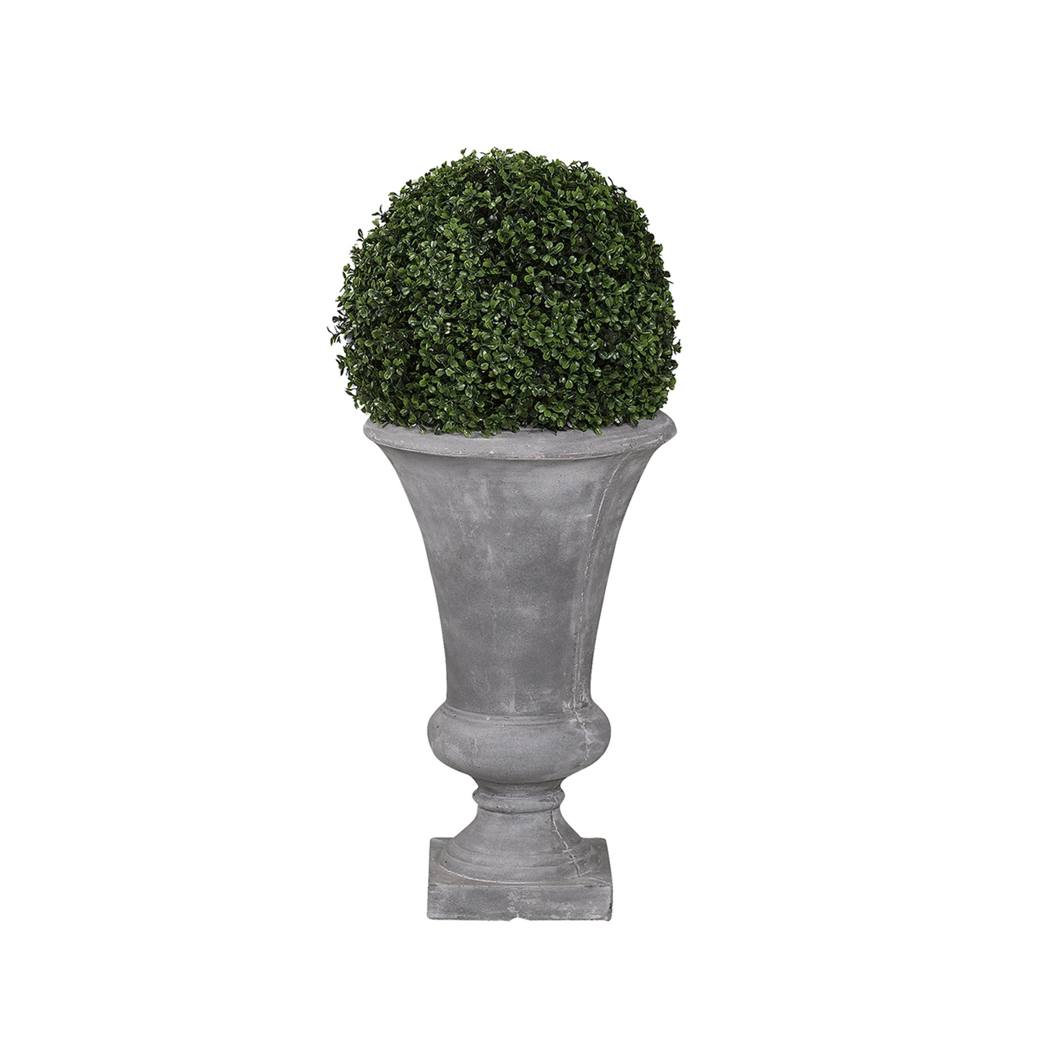 Veroli Boxwood Urn - Wisteria