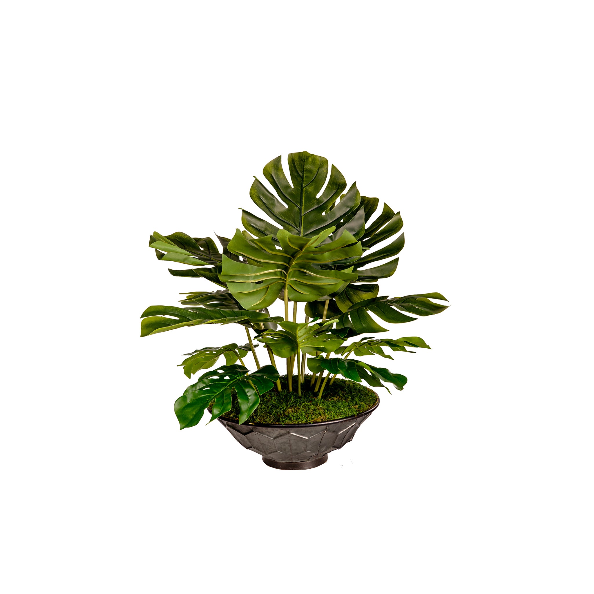 Ravella Philo Planter - Wisteria
