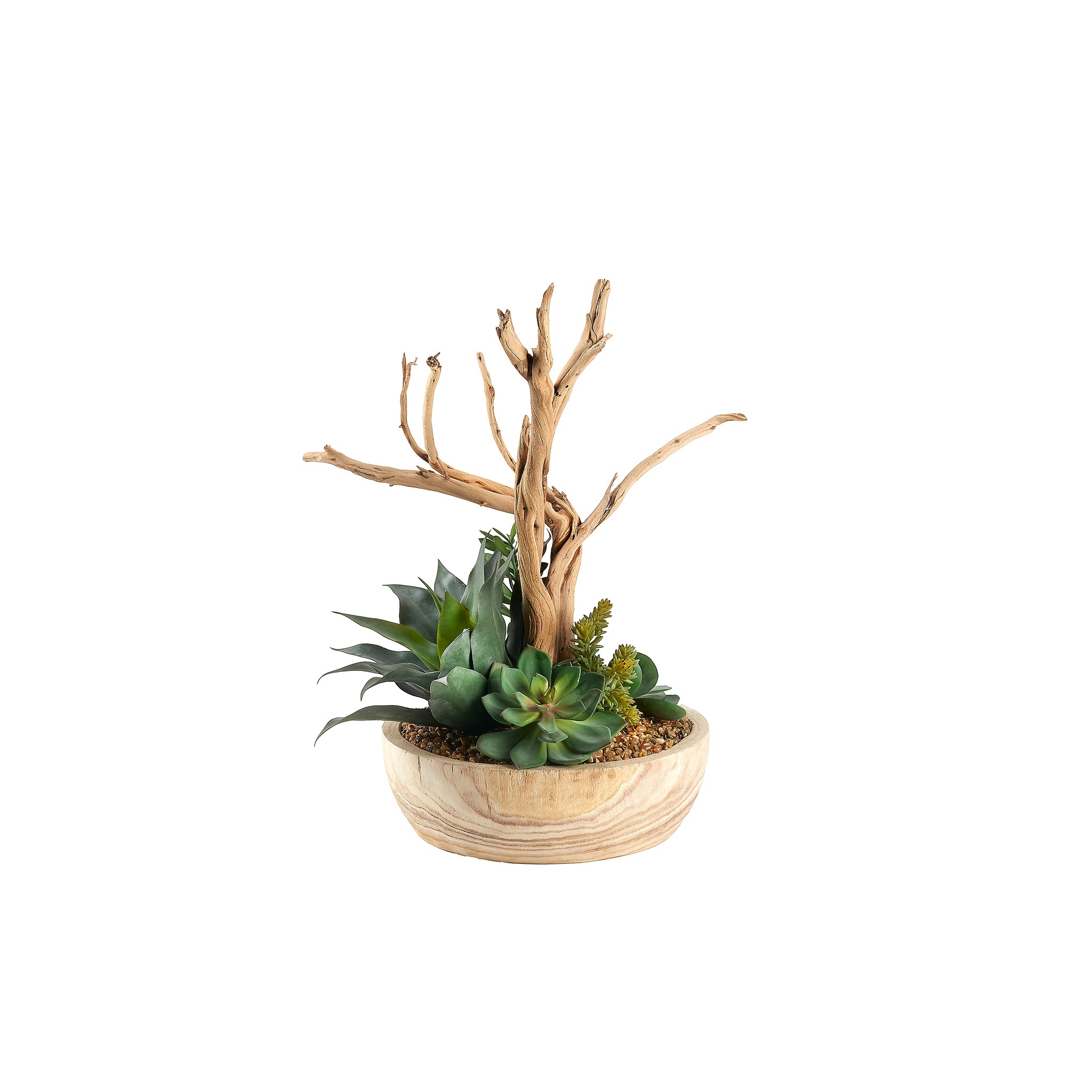 Corsano Succulent Planter - Wisteria