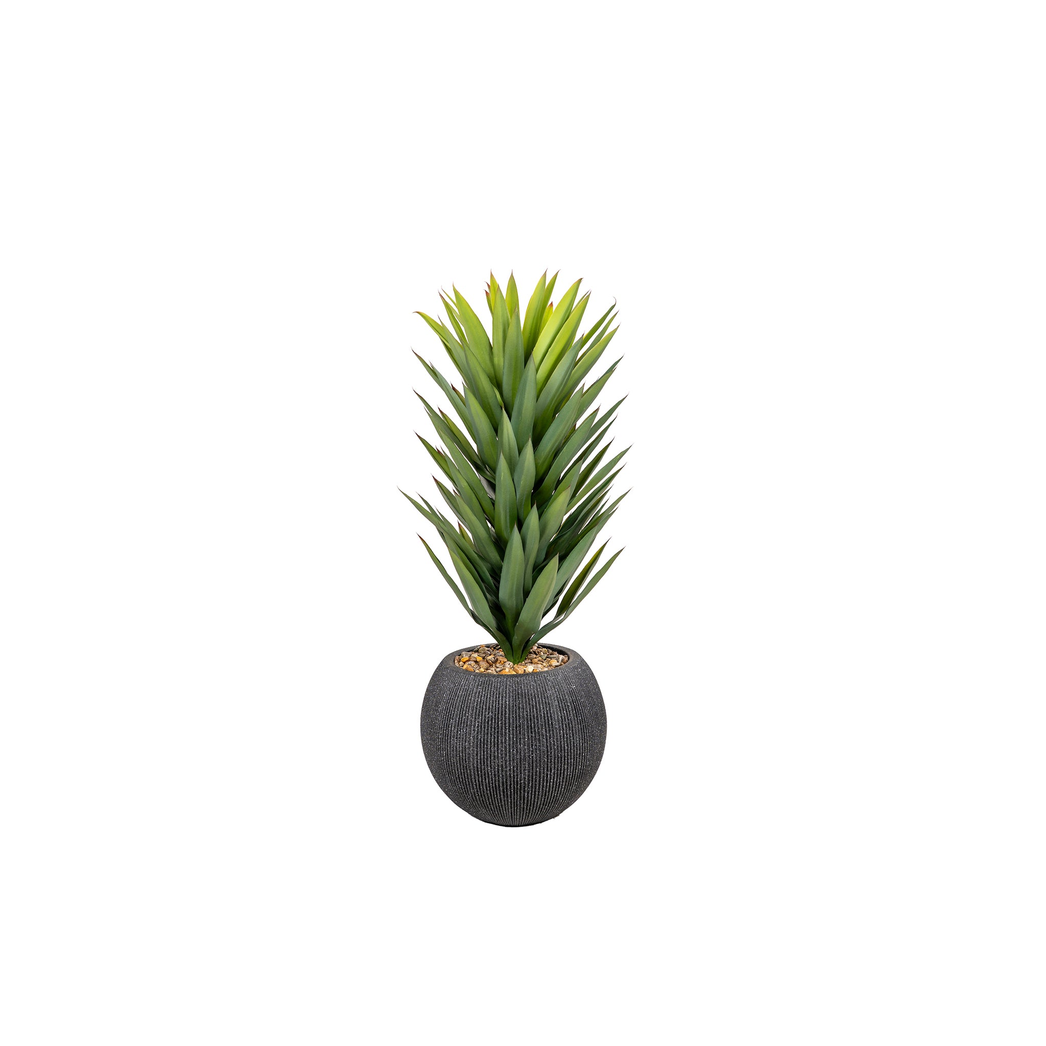Maguey Agave Planter - Wisteria