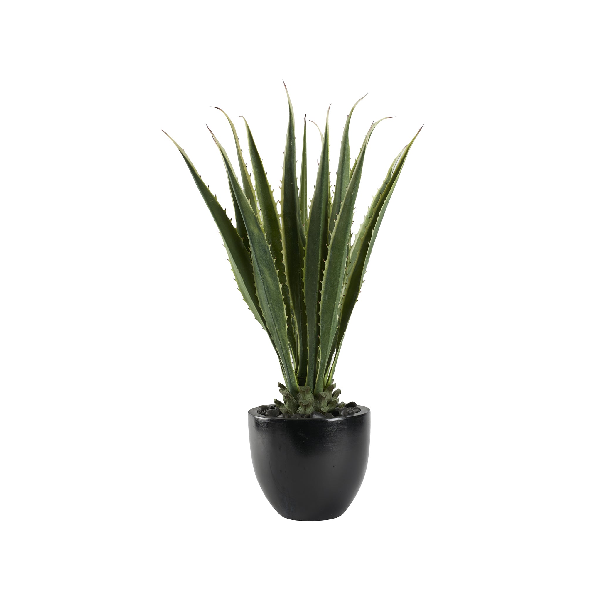 Nerija Agave Planter - Wisteria