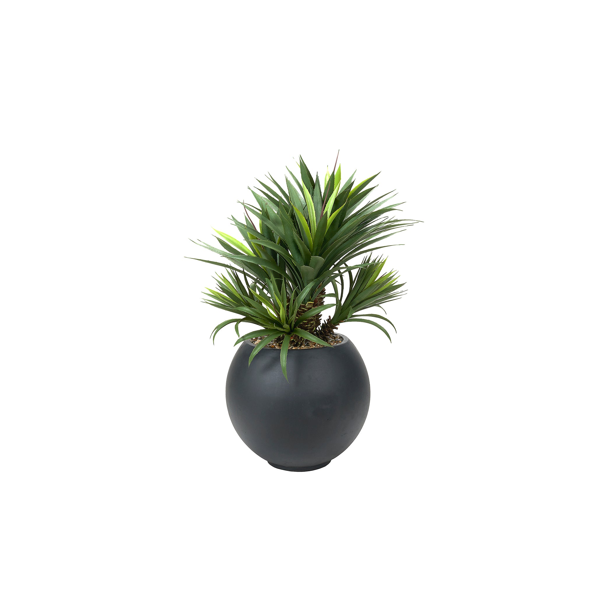 Solterra Tropical Planter - Wisteria
