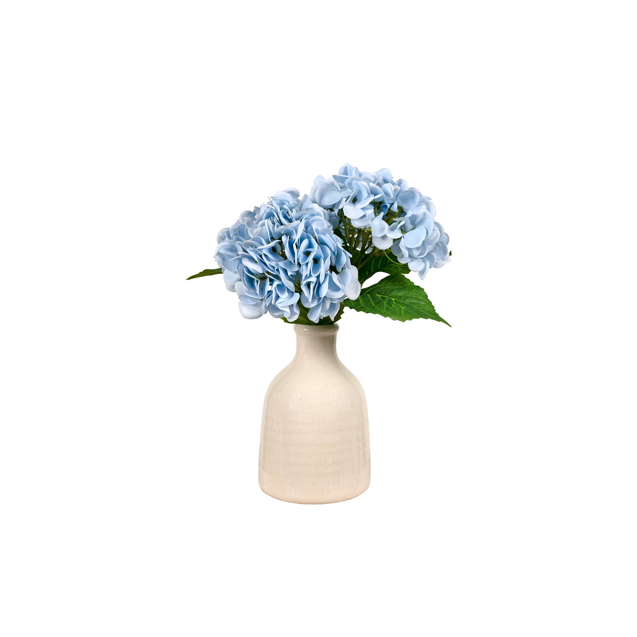 Ronde Blue Hydrangea - Wisteria