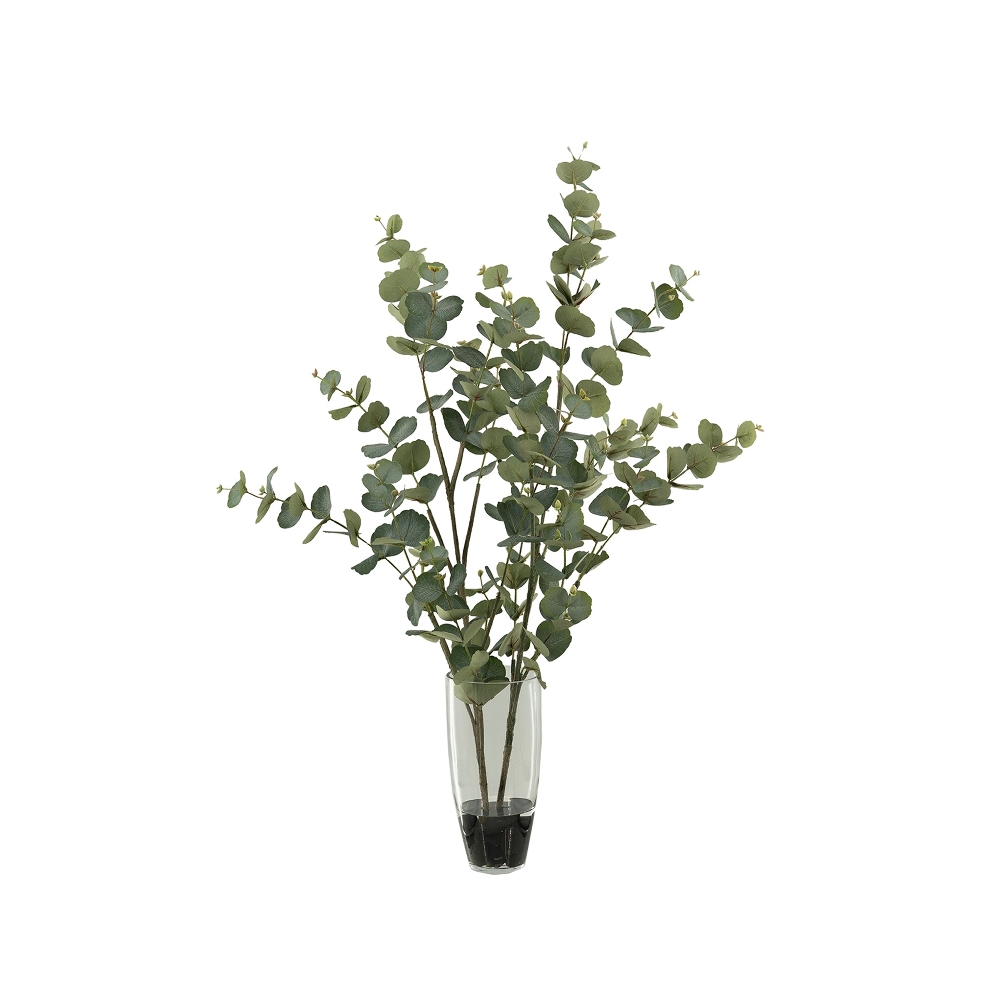 Liria Eucalyptus Arrangement - Wisteria