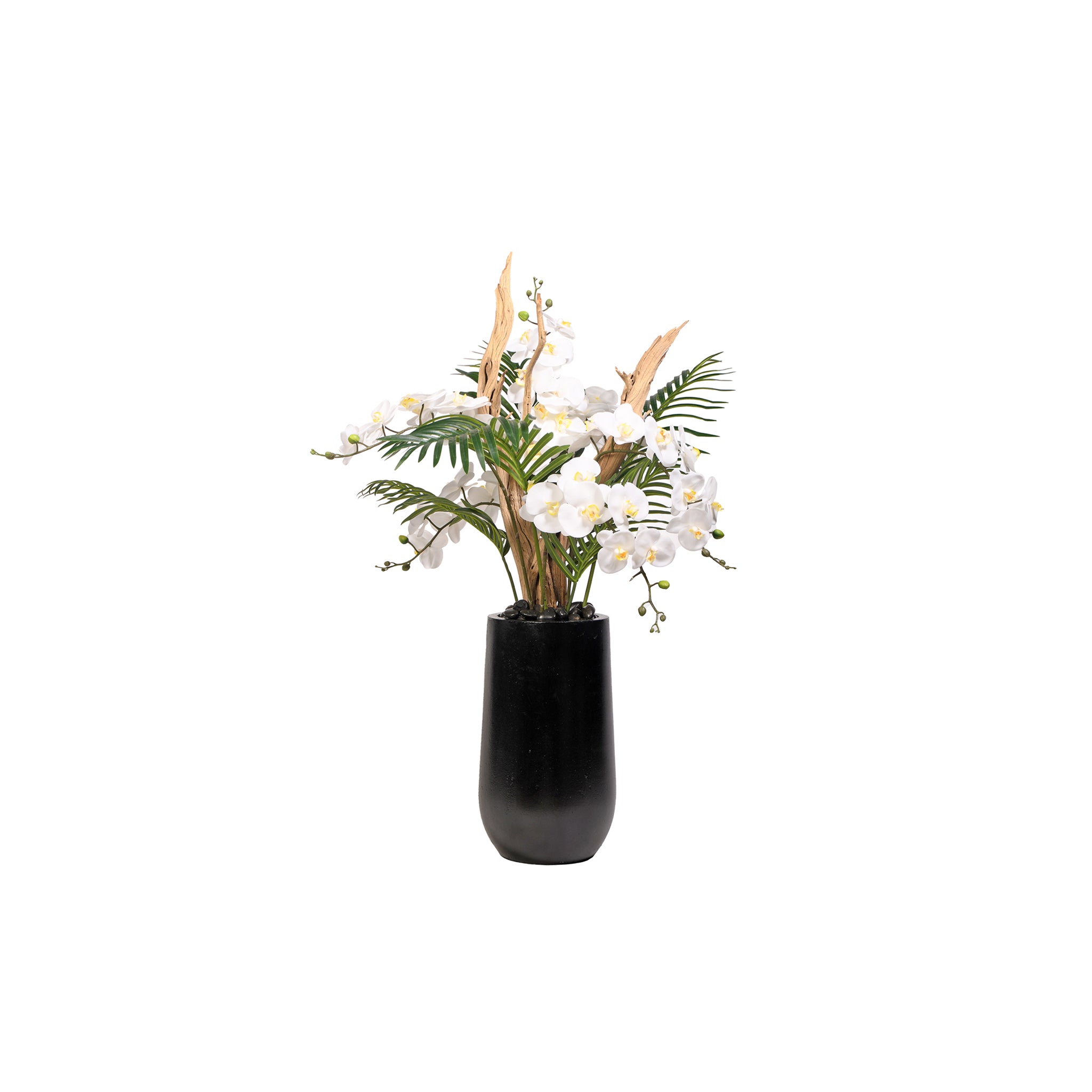 Silana Orchid Planter - Wisteria