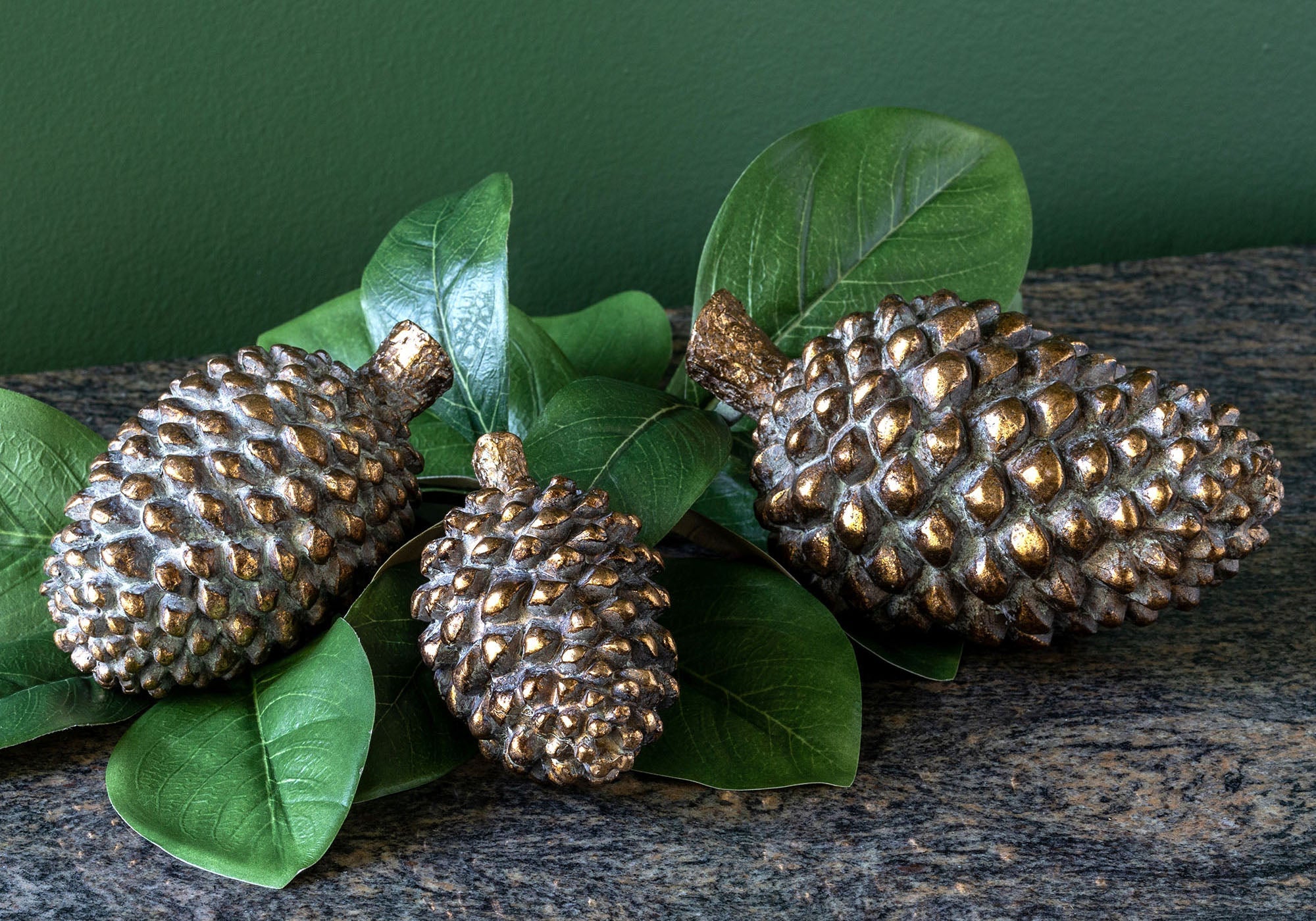 Conifer_Cone_Set.jpg