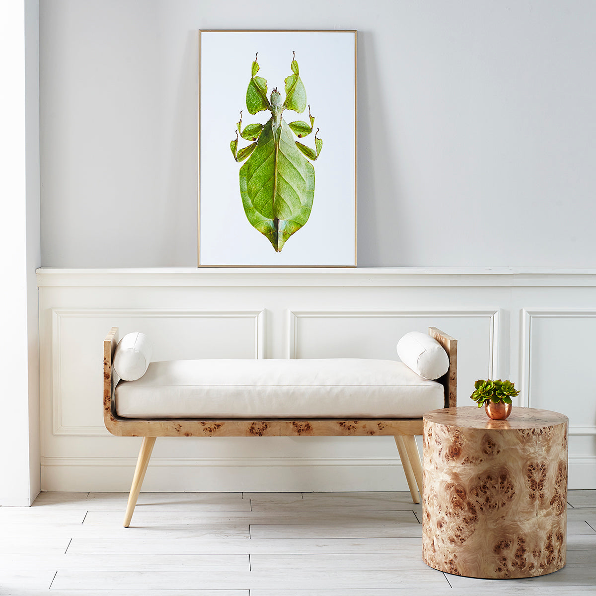 Cylinder Burl Wood Side Table