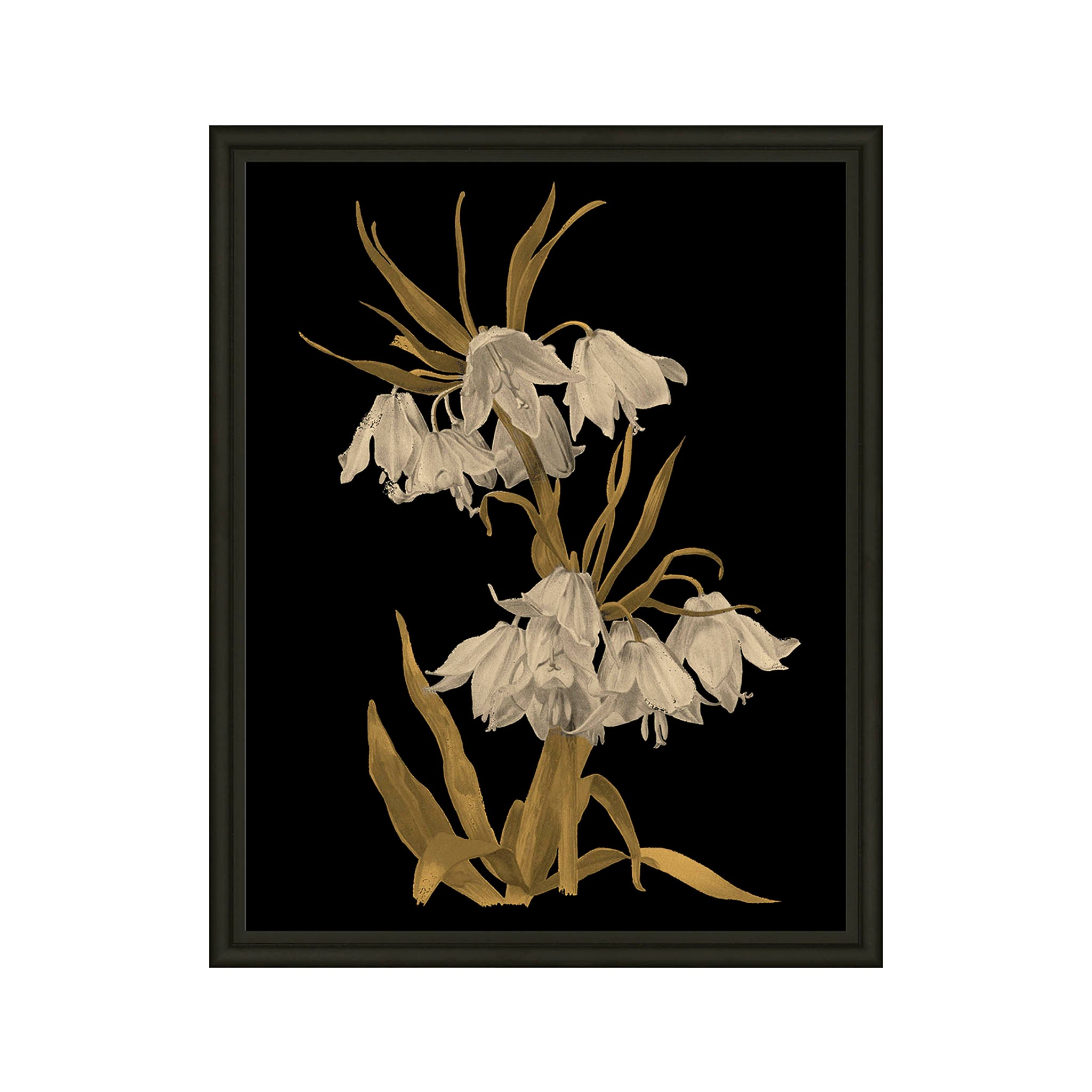 Deepened Fritillaria Print