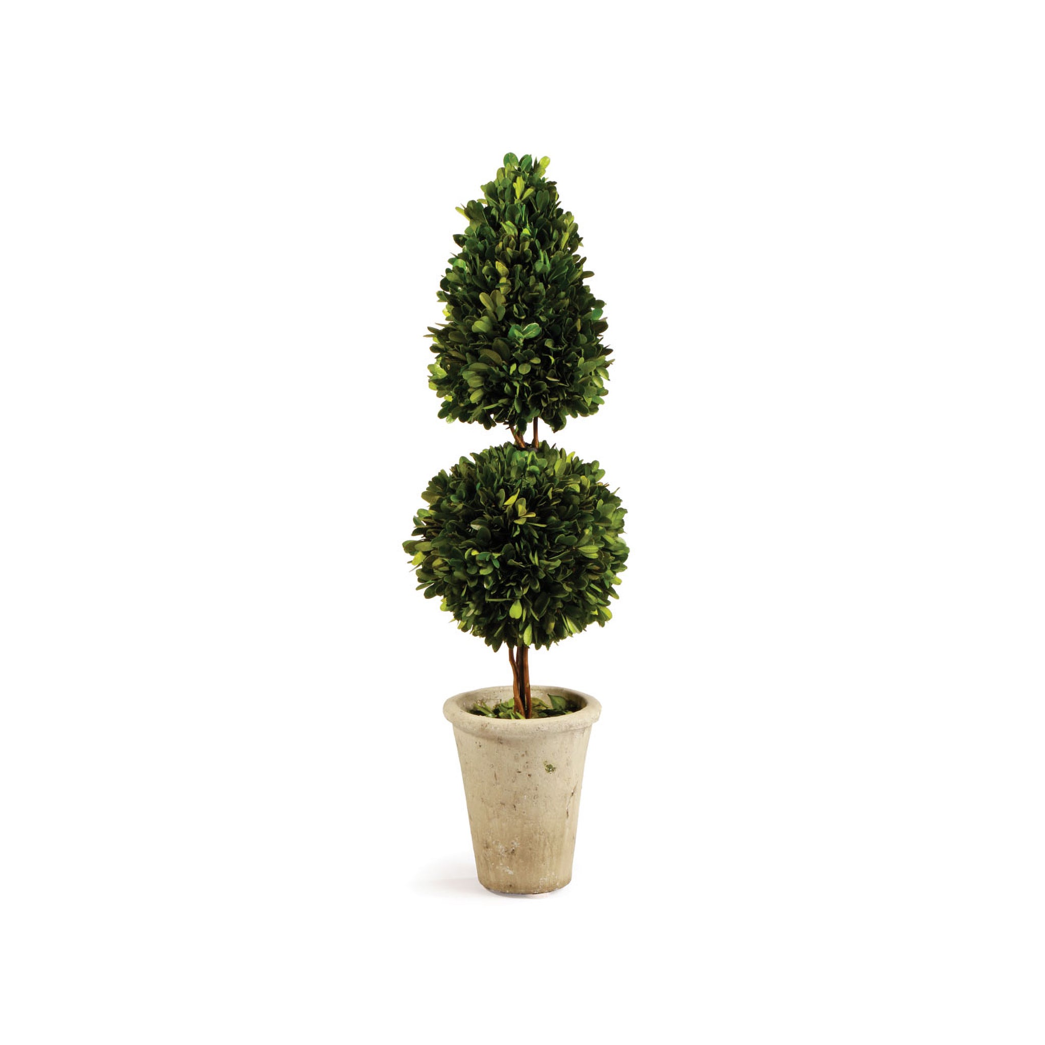 Sculptural Cone & Ball Boxwood Topiary