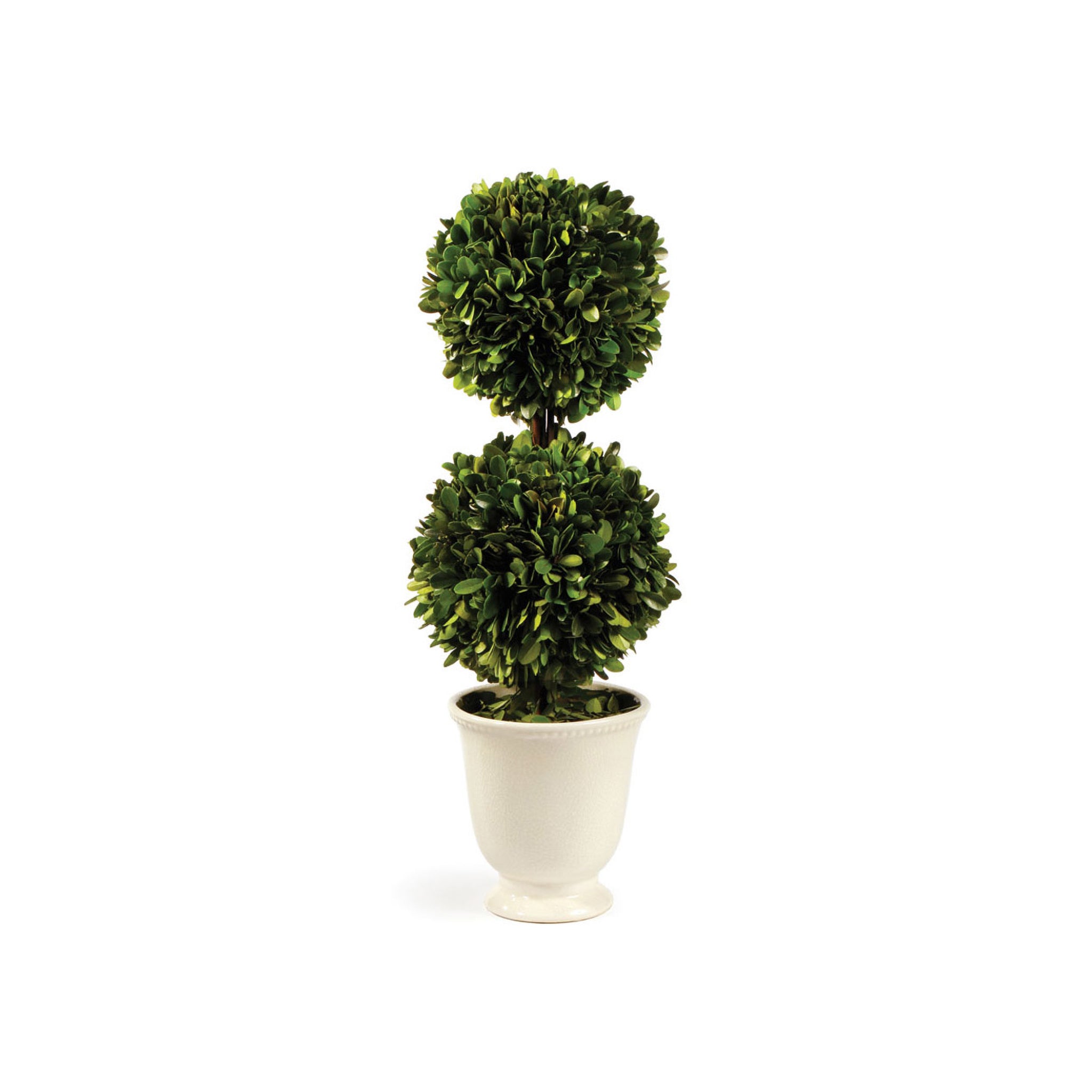 Sculptura Double Ball Boxwood Topiary in Beaded Pot