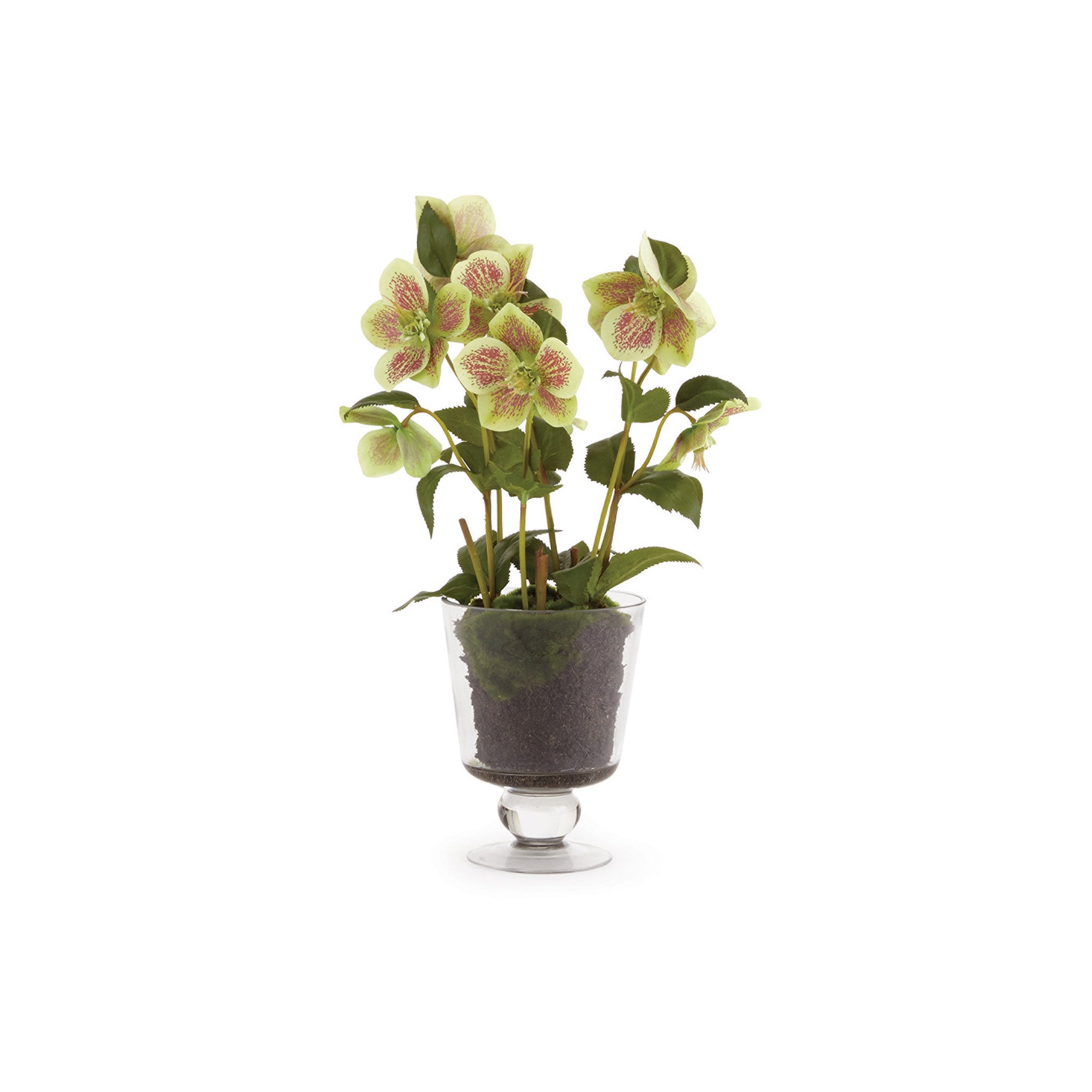Linnaeus Arrangement