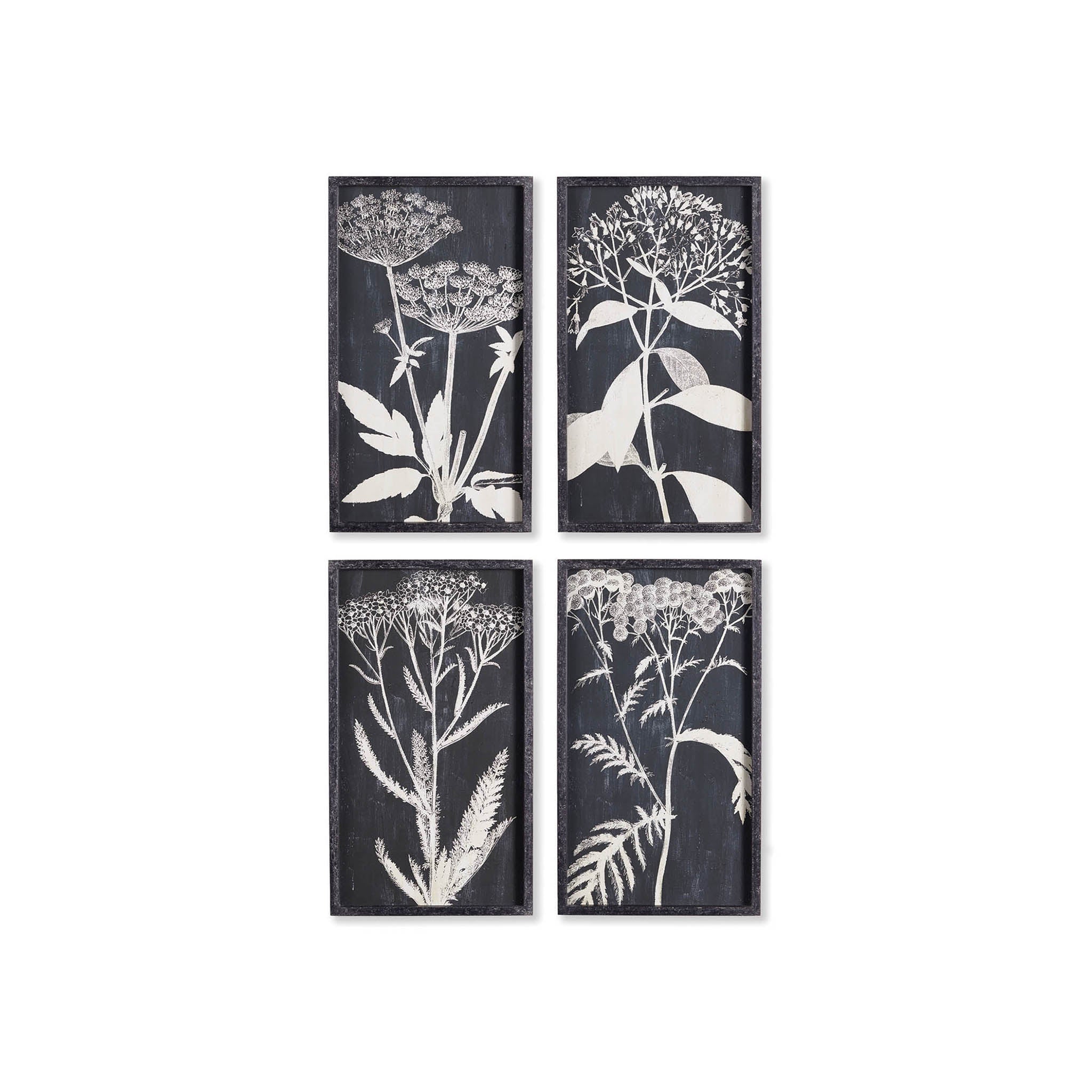Safe Haven Monochrome Botanical Prints, Set of 4